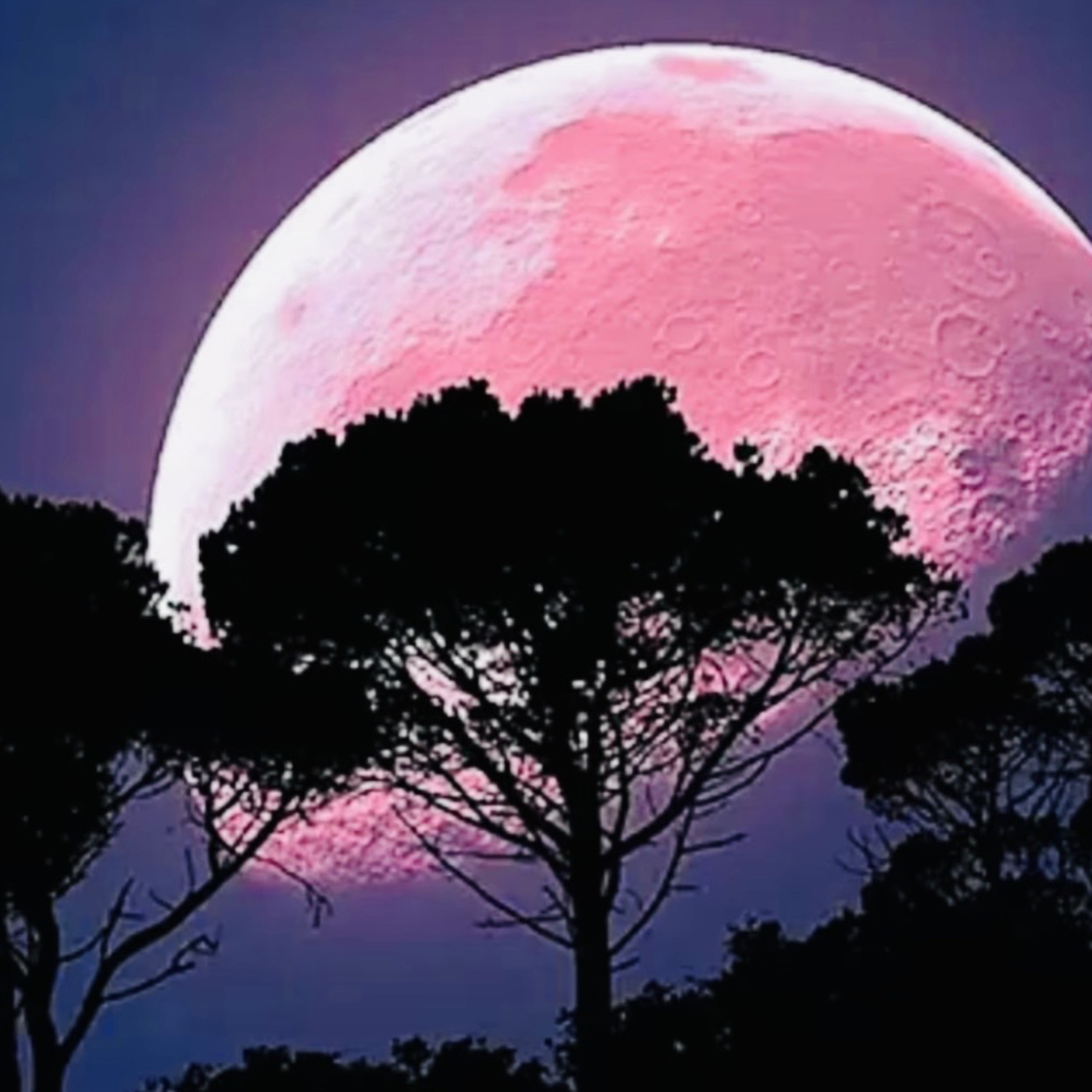 La Luna Rosa: El rigor del cosmos episode artwork