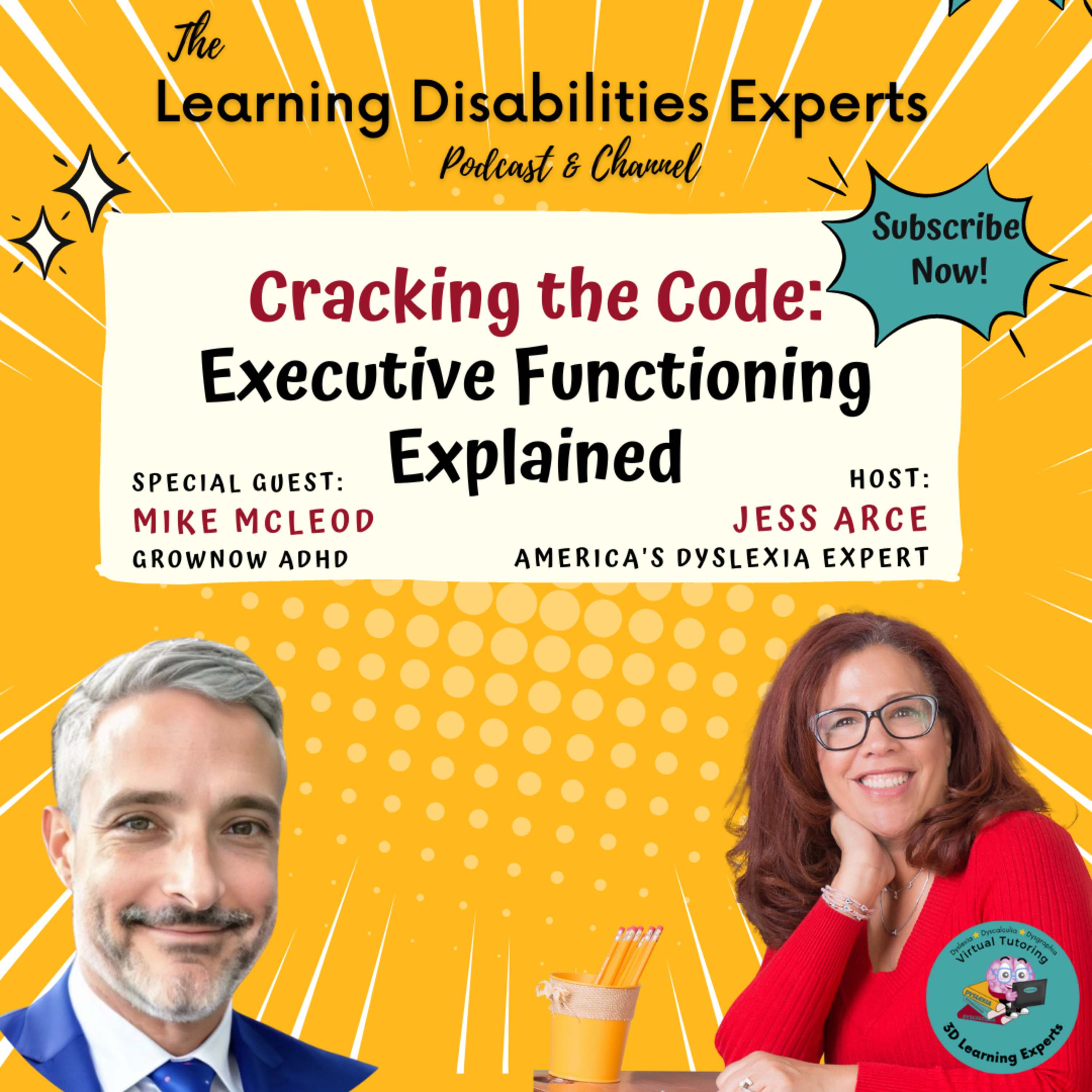 Episode 190: Cracking the Code: Executive Functioning Expla﻿ined