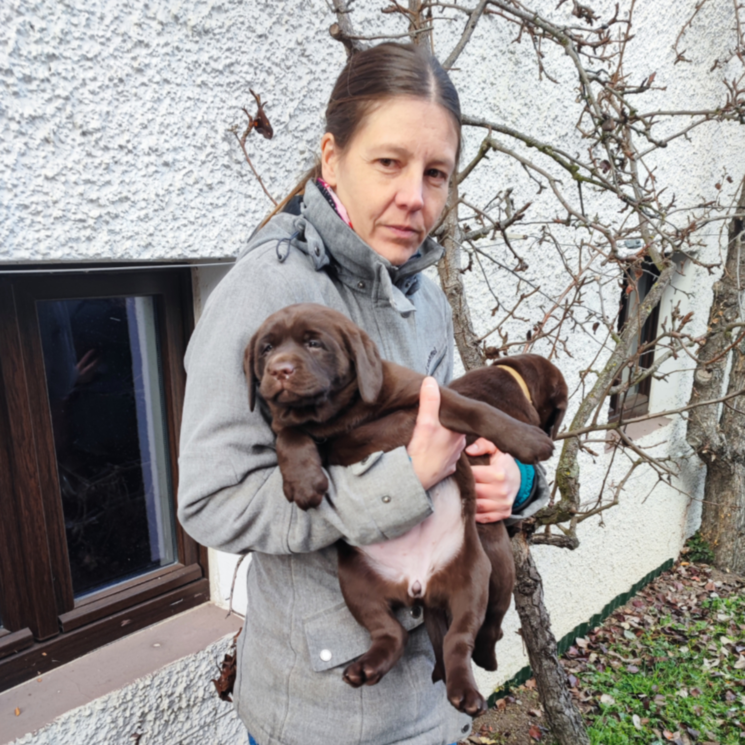 Pfotenlabor der Talk - Der Podcast zum Thema Tierphysiotherapie
