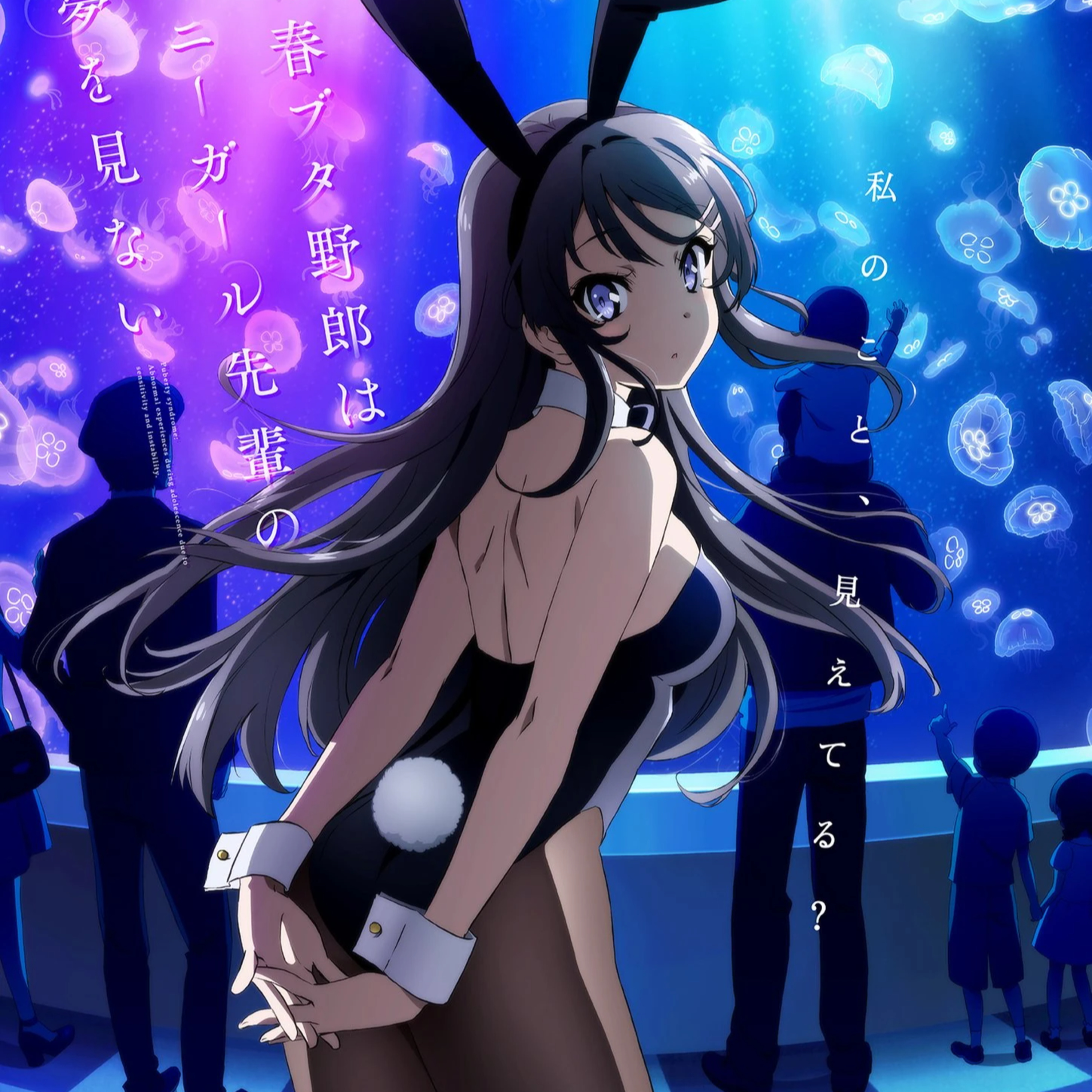Seishun Buta Yarō wa Bunny Girl-senpai no Yume wo Minai episode artwork