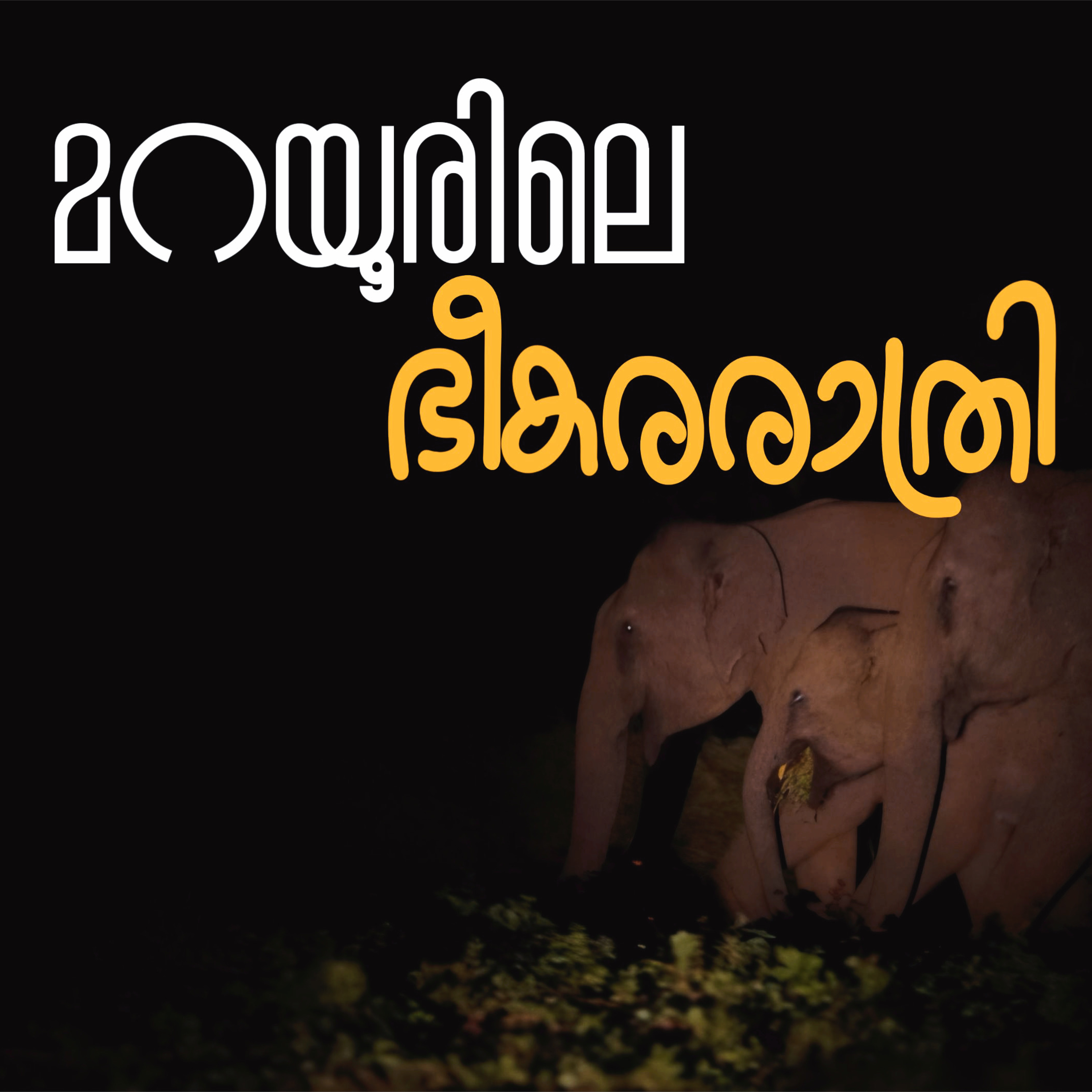 മറയൂരിലെ ഭീകരരാത്രി!