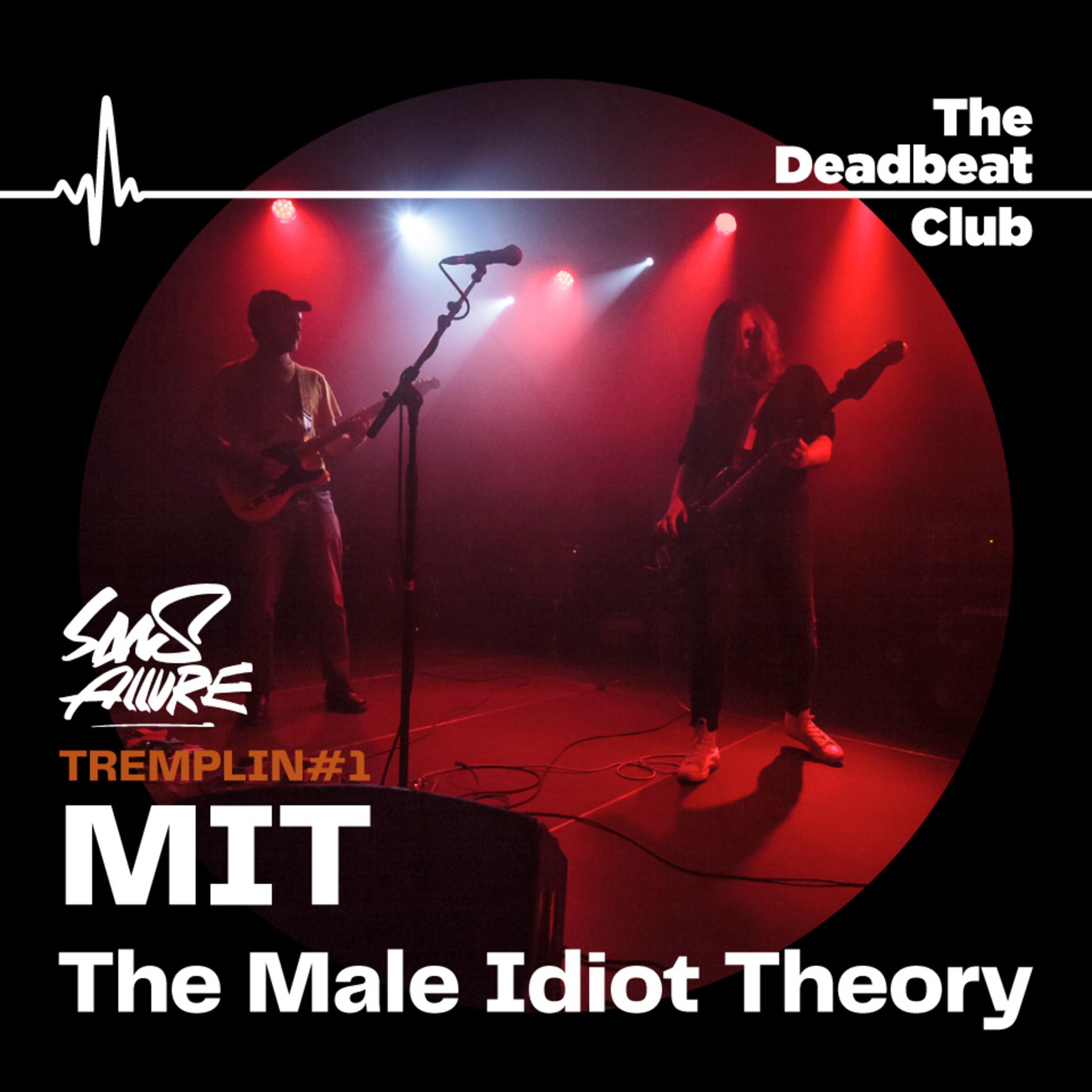 Deadbeat Club Hors-Série 5 : L'interview de MIT (The Male Idiot Theory)