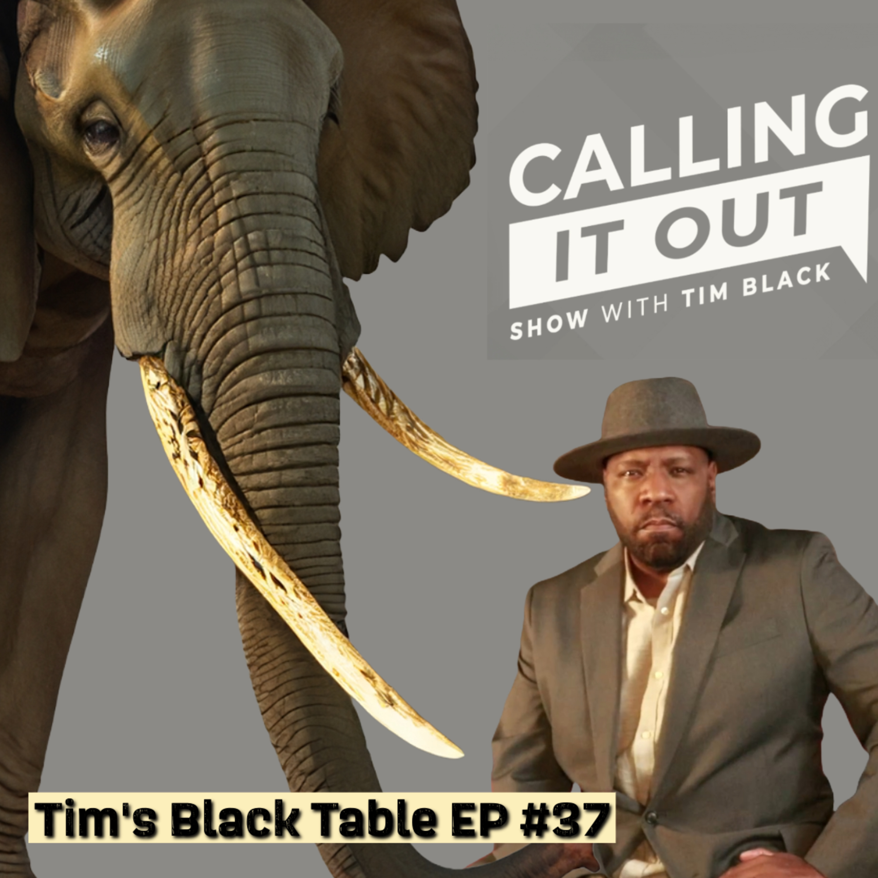 Sold Out Media, Democrats, Republicans: THE BIG PROBLEM | Tim's Table #38