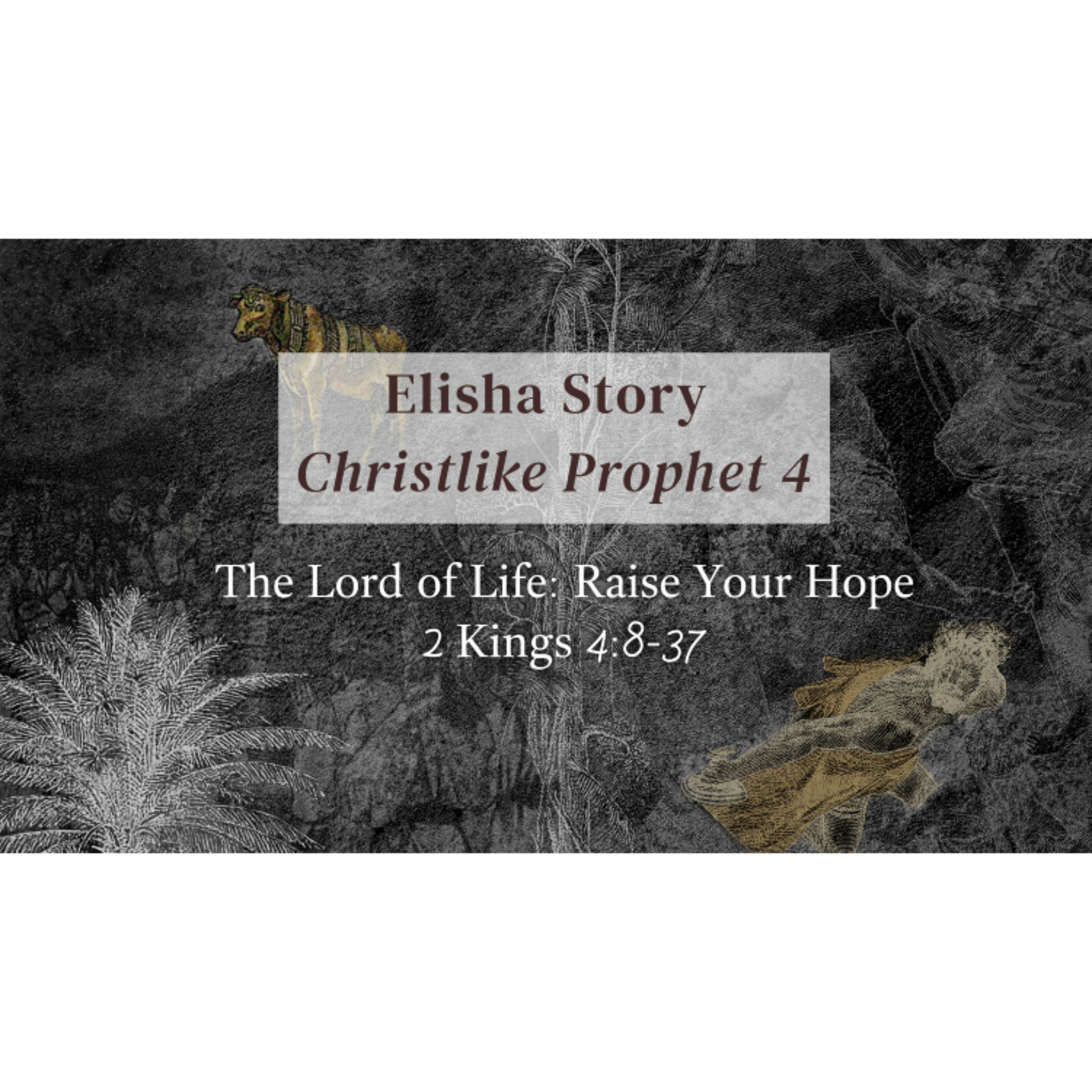 God of Life: Raise Your Hope episode artwork