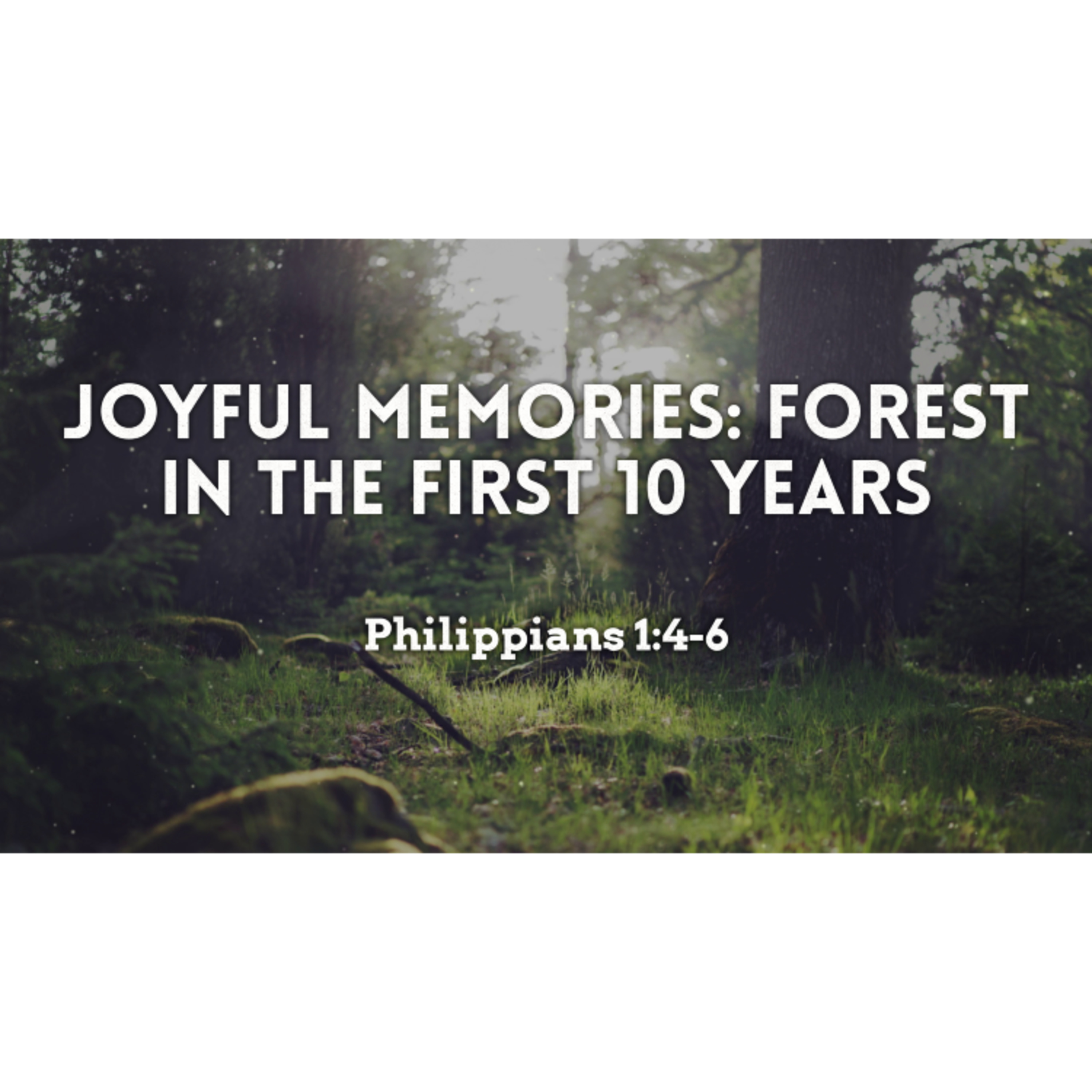Joyful Memories: Forest in the first 10 Years  episode artwork
