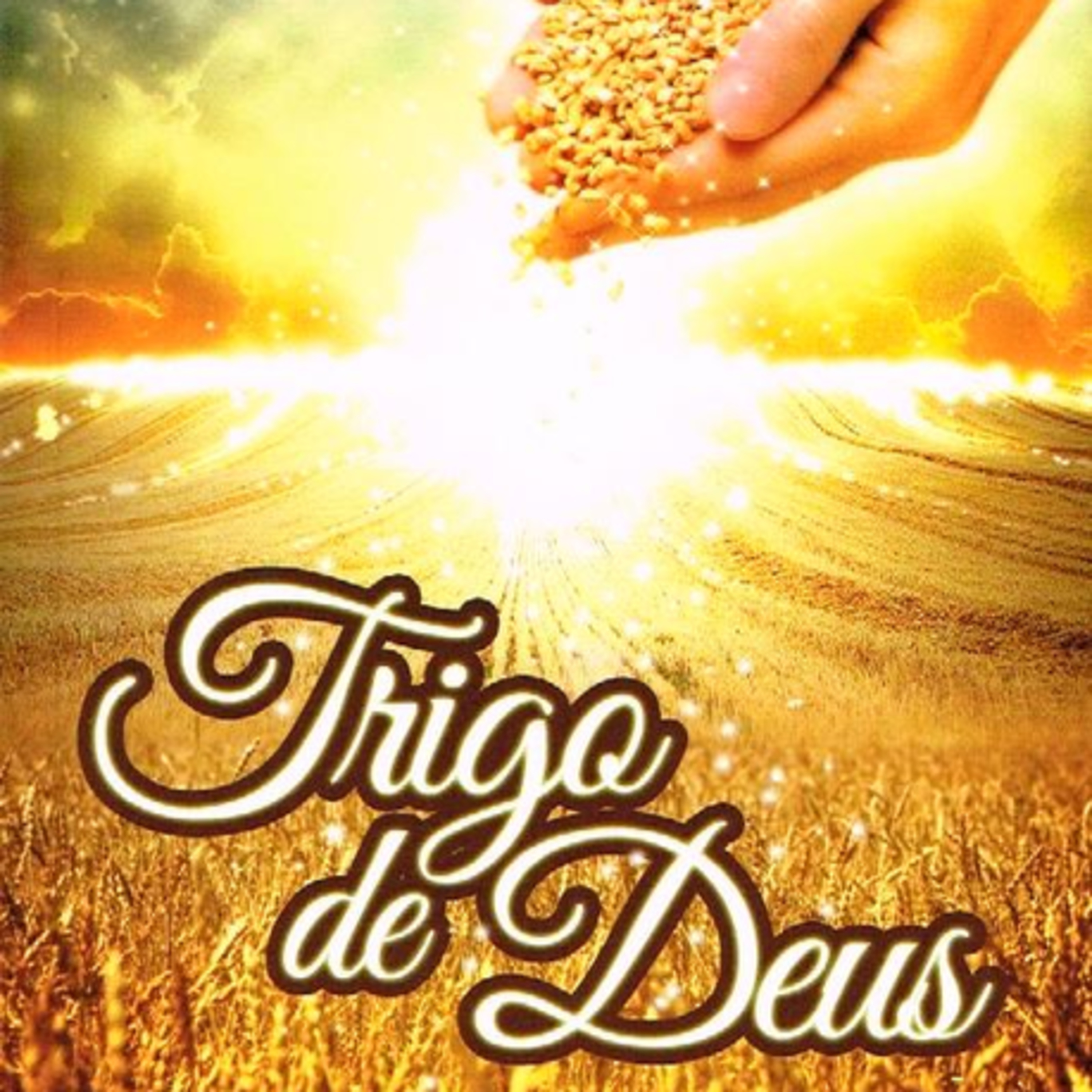 Trigo de Deus | 8 - Não O receberam episode artwork