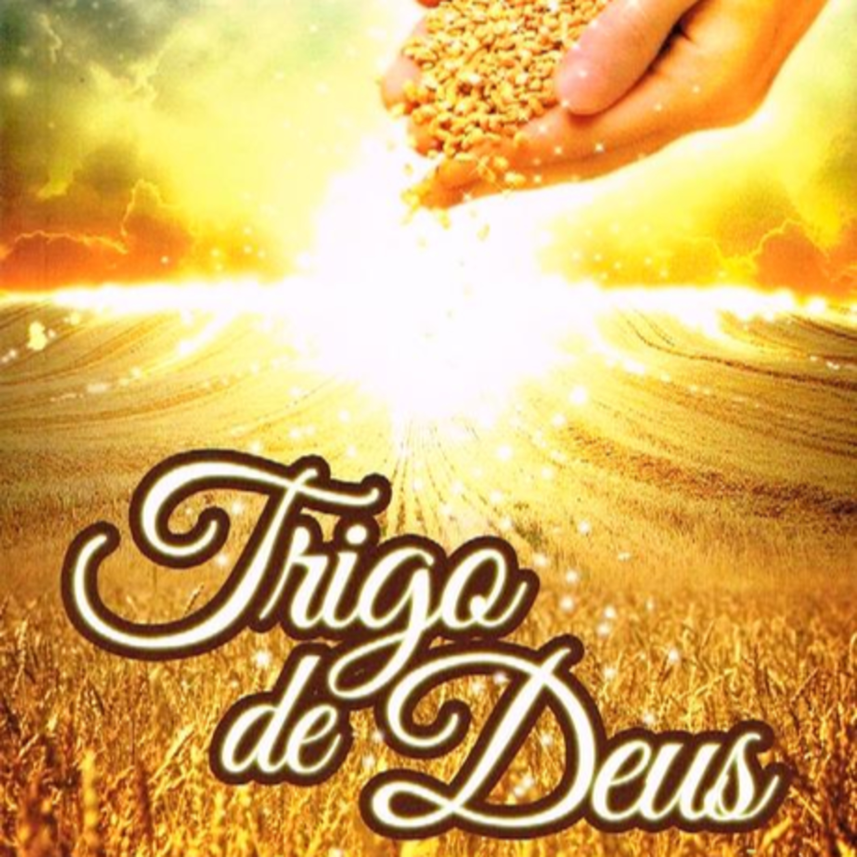 Trigo de Deus | 20 - Jesus e avareza episode artwork