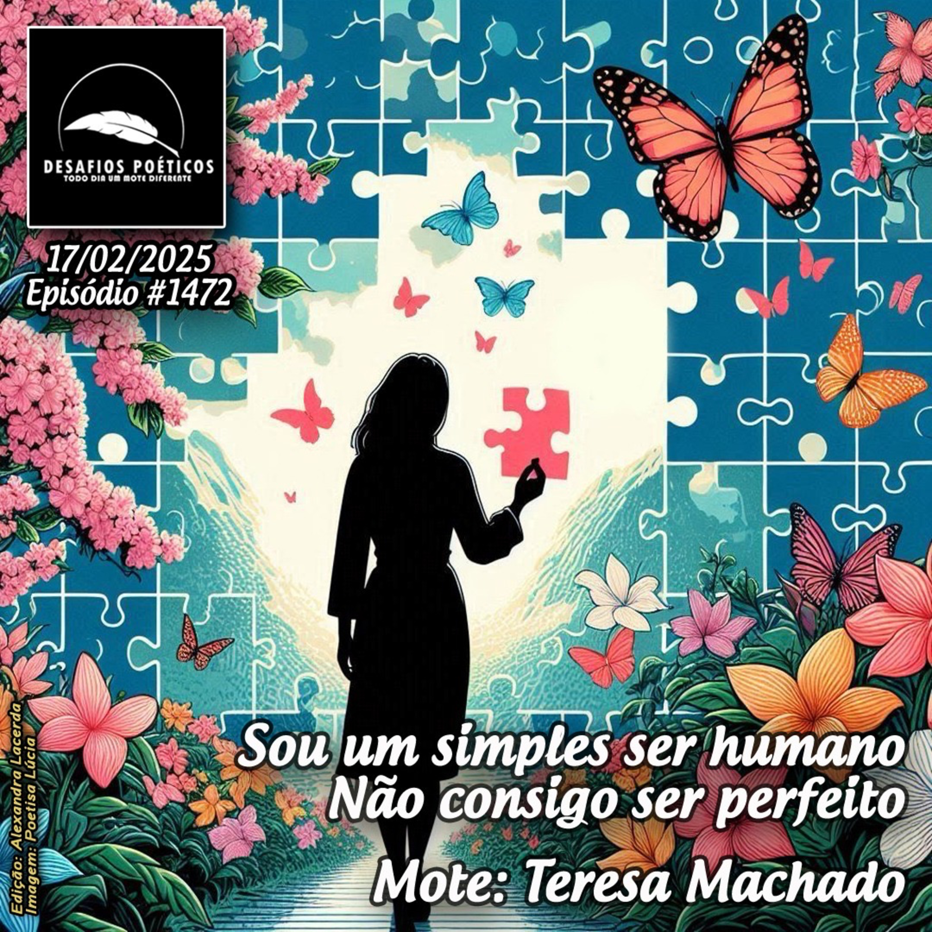 Sou um simples ser humano, não consigo ser perfeito. Mote: Teresa Machado. #1472 episode artwork