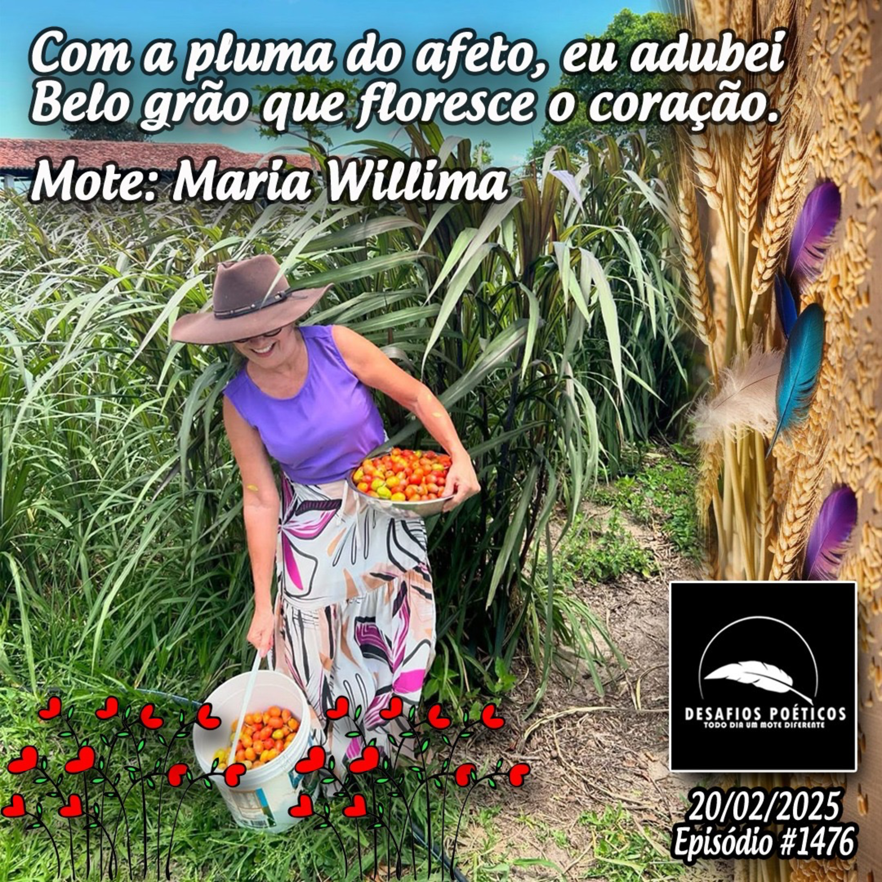 Com a pluma do afeto, eu adubei, belo grão que floresce o coração. Mote: Maria Willima. #1476 episode artwork
