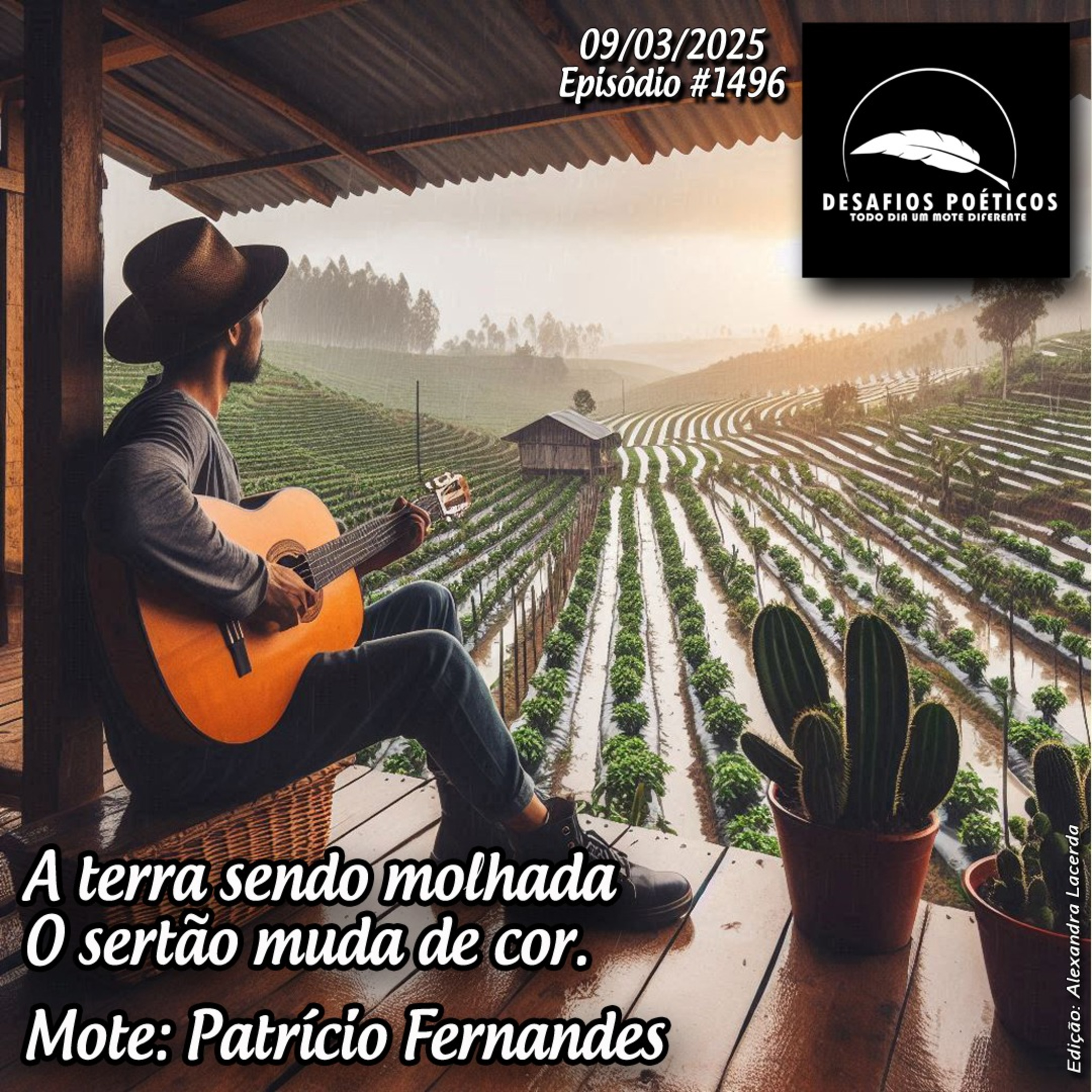 A terra sendo molhada, o sertão muda de cor. Mote: Patrício Fernandes. #1496