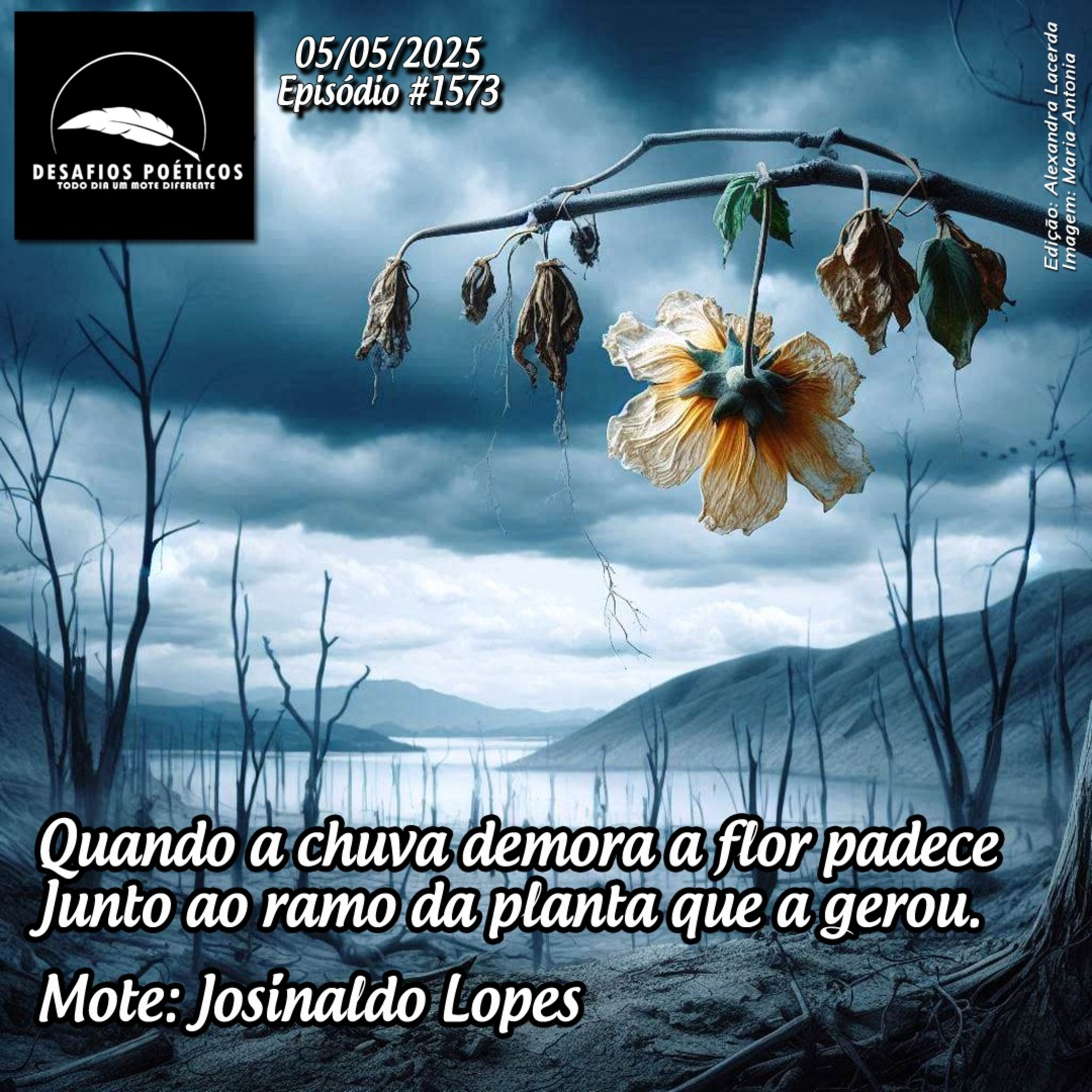 Desafios Poéticos