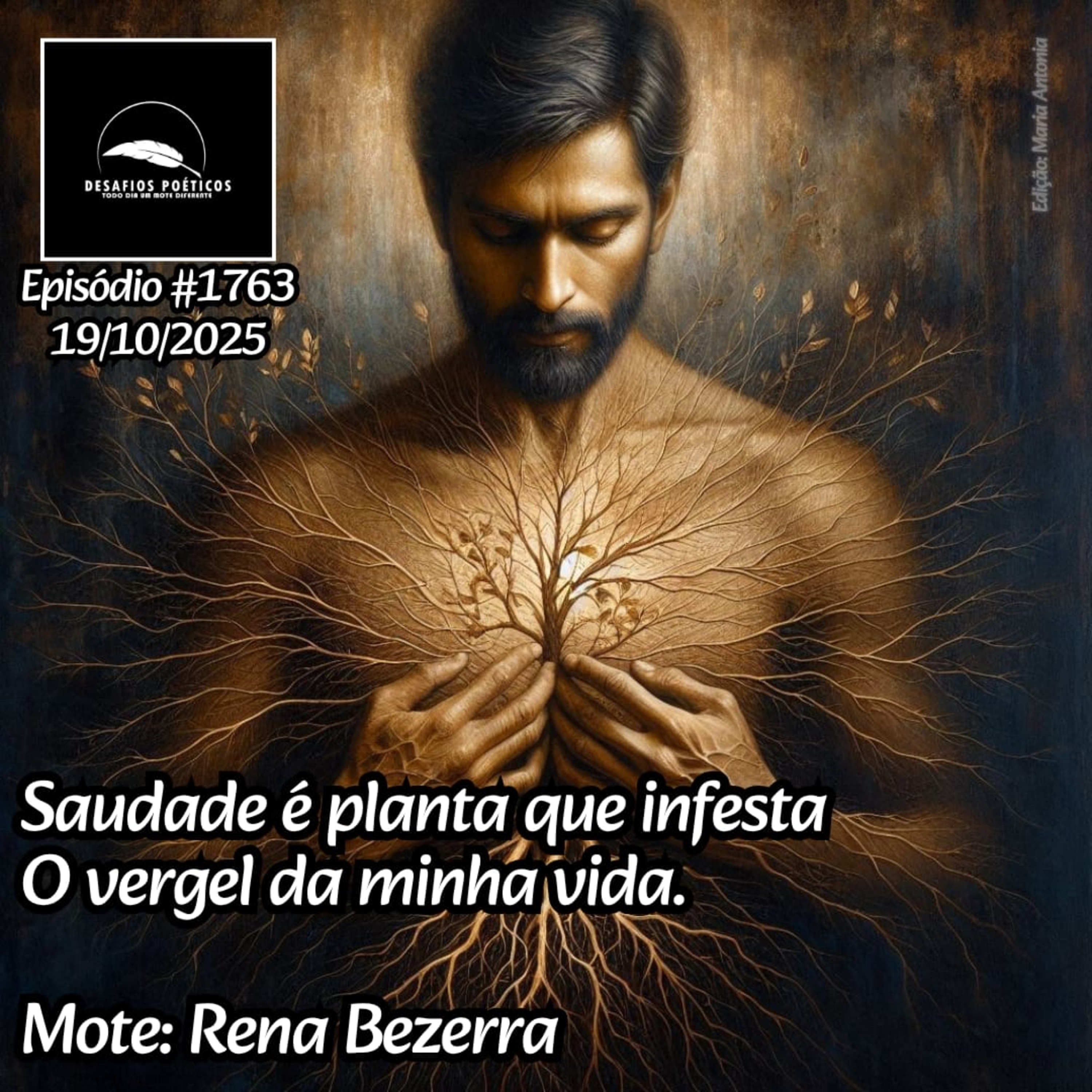 Saudade é planta que infesta, o vergel da minha vida. Mote: Rena Bezerra. #1763 episode artwork