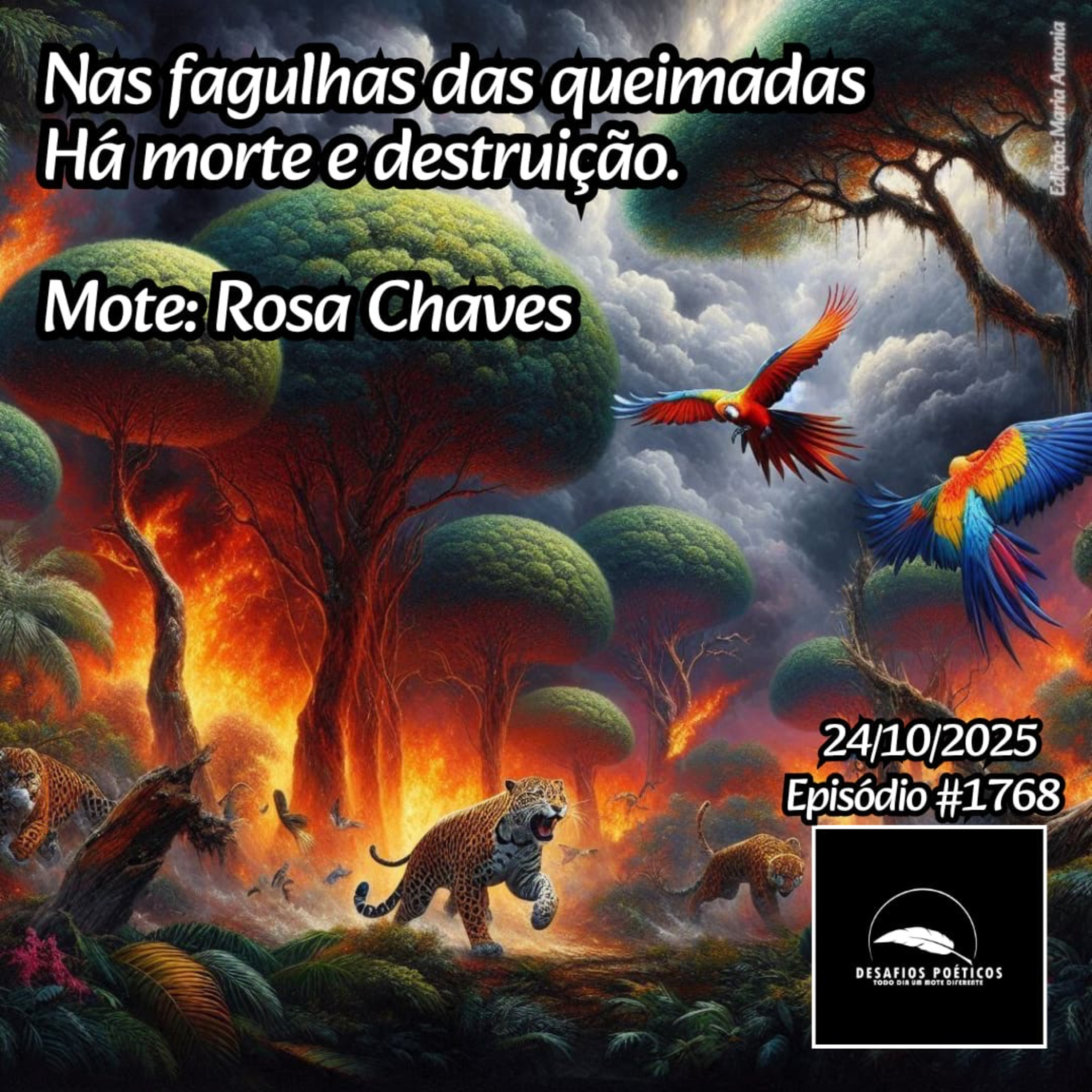 Nas fagulhas das queimadas, há morte e destruição. Mote: Rosa Chaves. #1768 episode artwork