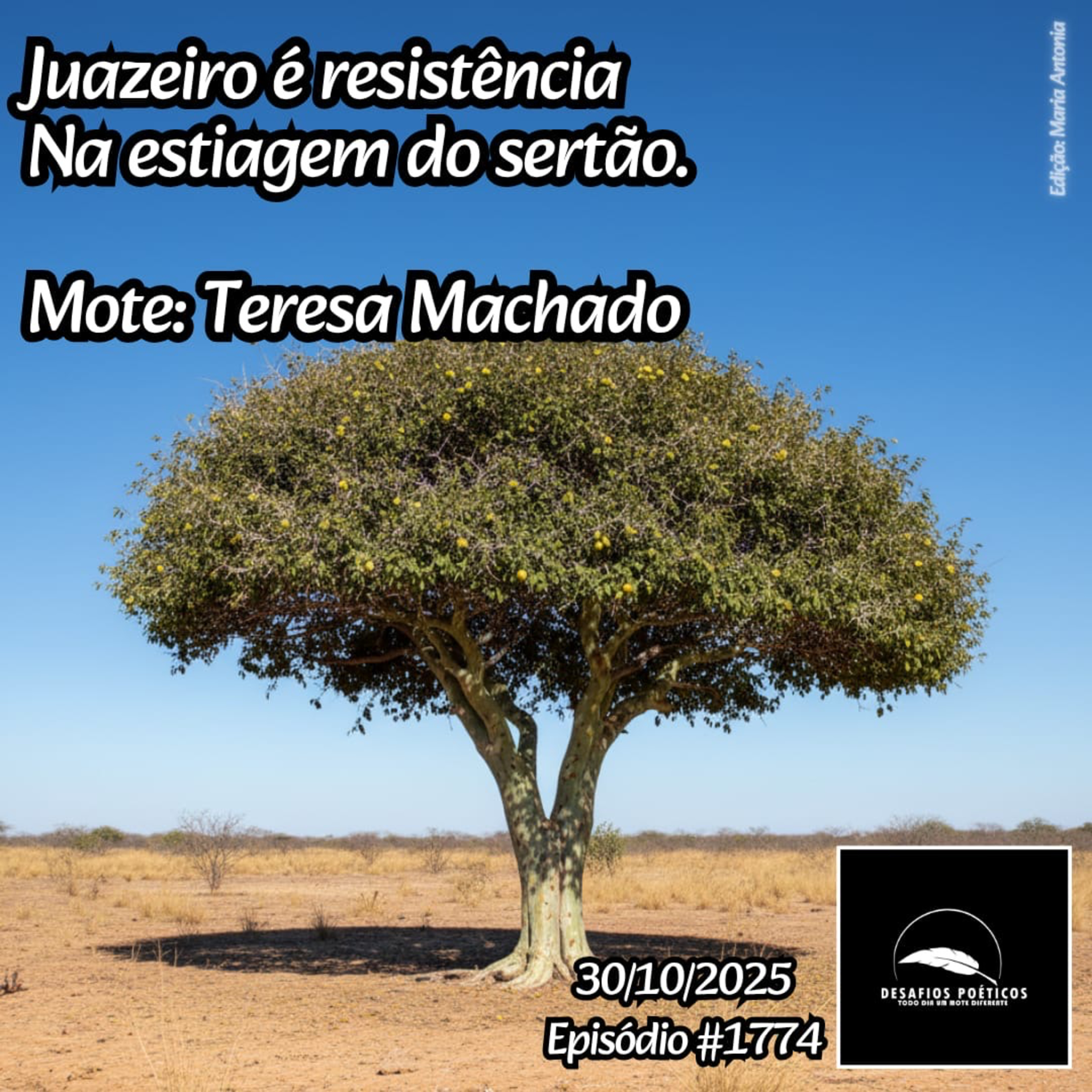 Juazeiro é resistência, na estiagem do sertão. Mote: Teresa Machado.#1774. episode artwork