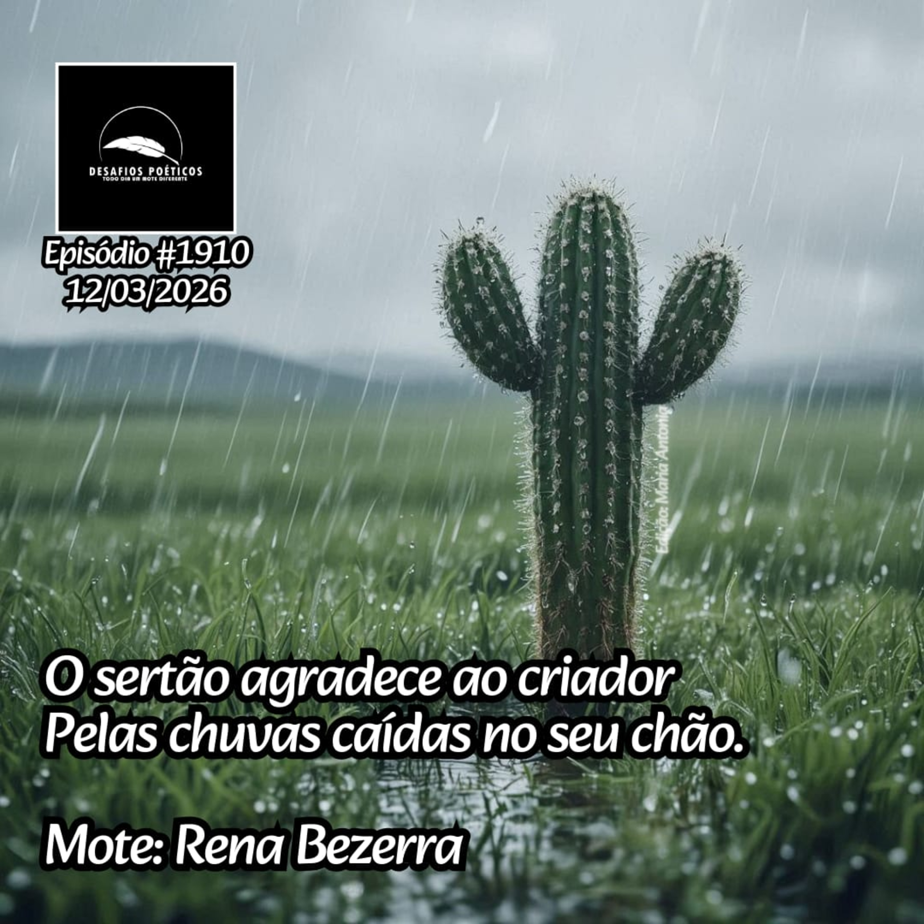 O sertão agradece ao Criador, pelas chuvas caídas no sertão. Mote: Rena Bezerra #1910