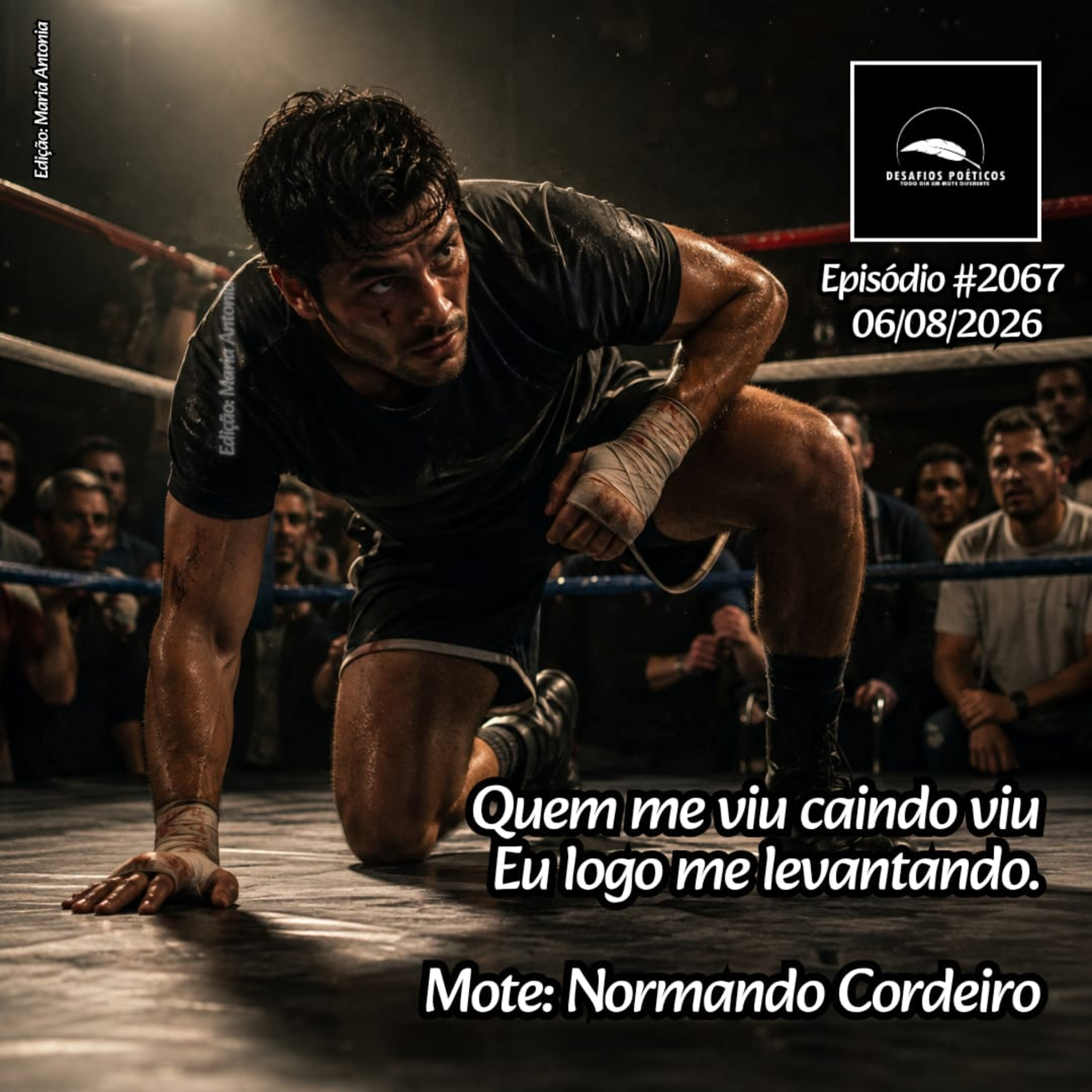 Quem me viu caindo viu, eu logo me levantando. Mote: Normando Cordeiro. #2064 episode artwork