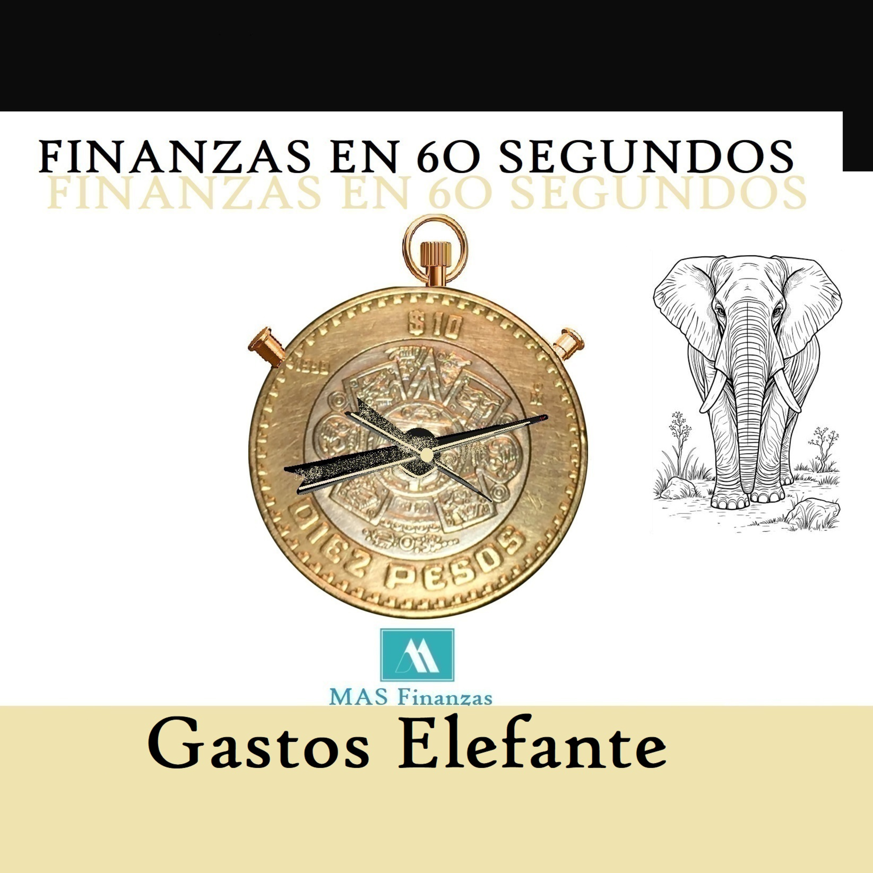 Gastos Elefante  episode artwork