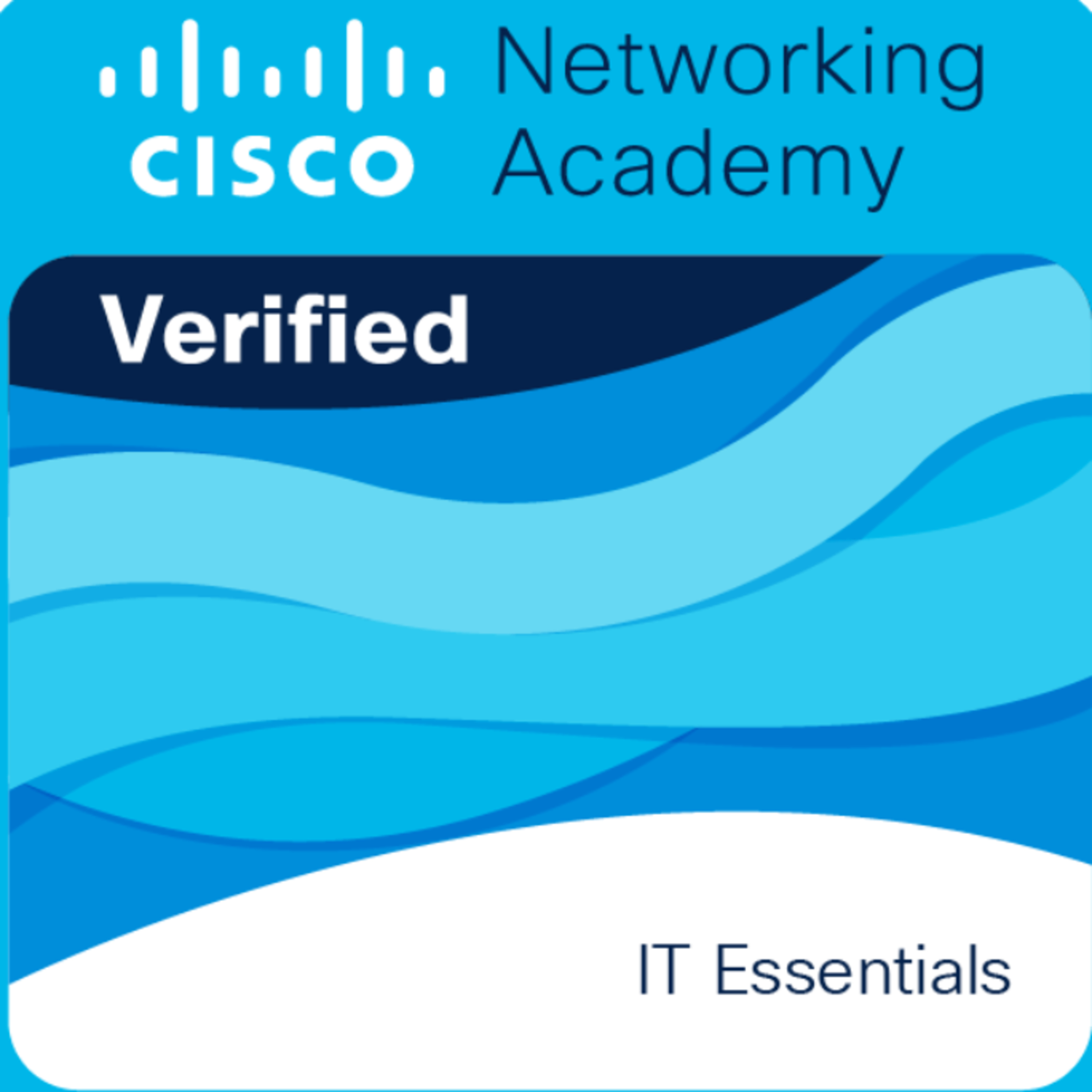 CISCO IT Essential - Sinhala