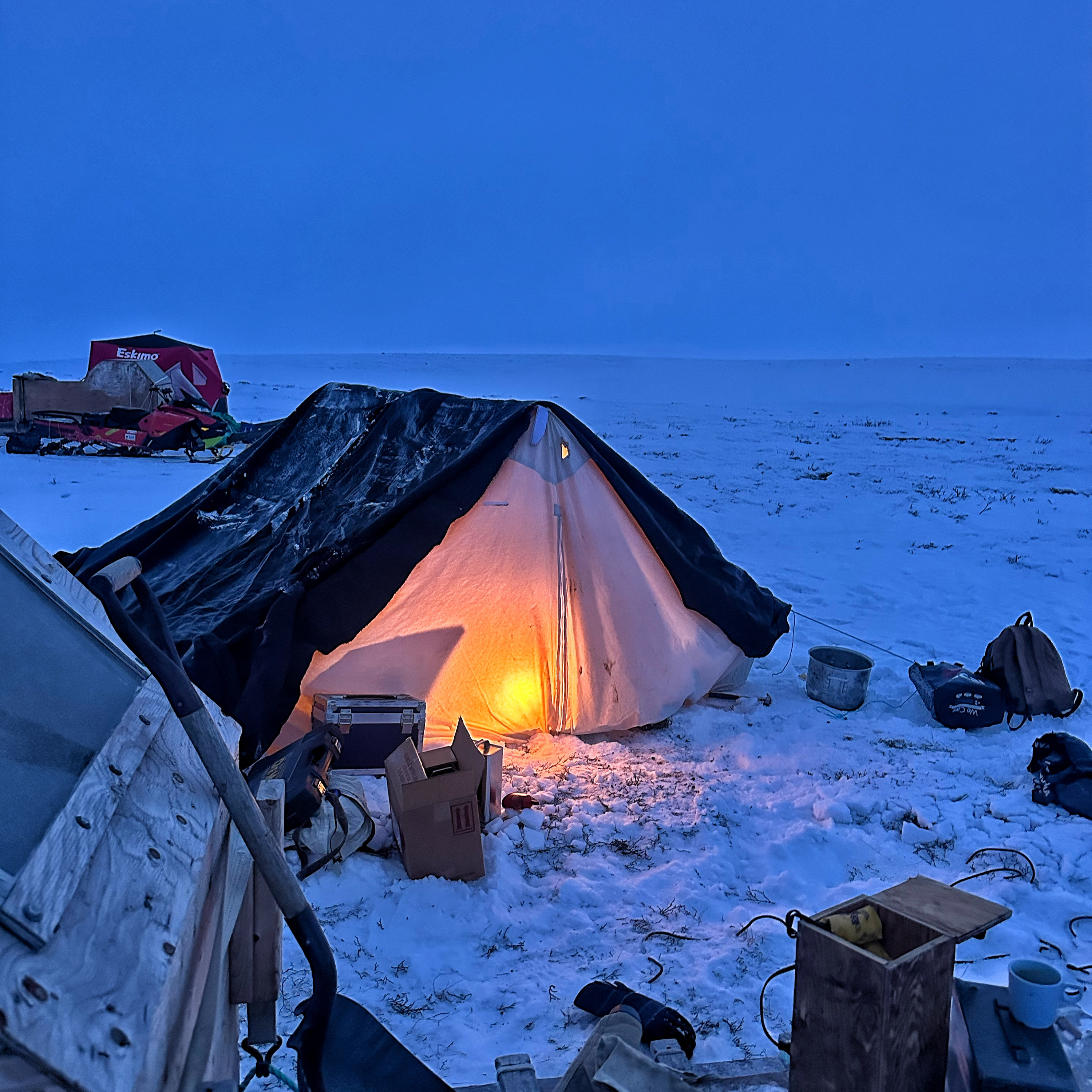 TRAPPED IN THE ARCTIC MUSK OX PART 2 episode artwork