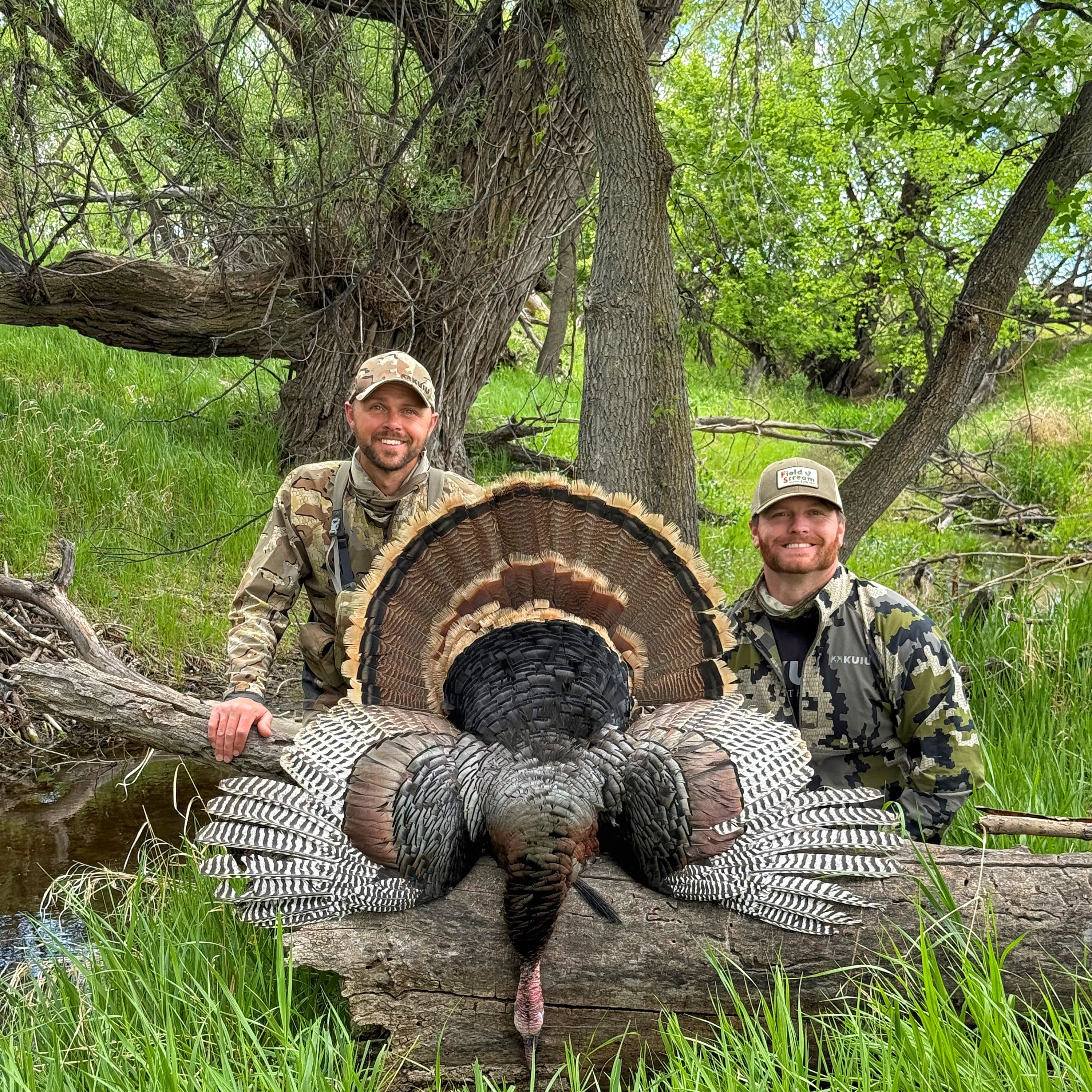 IS TURKEY SEASON OVER YET? episode artwork