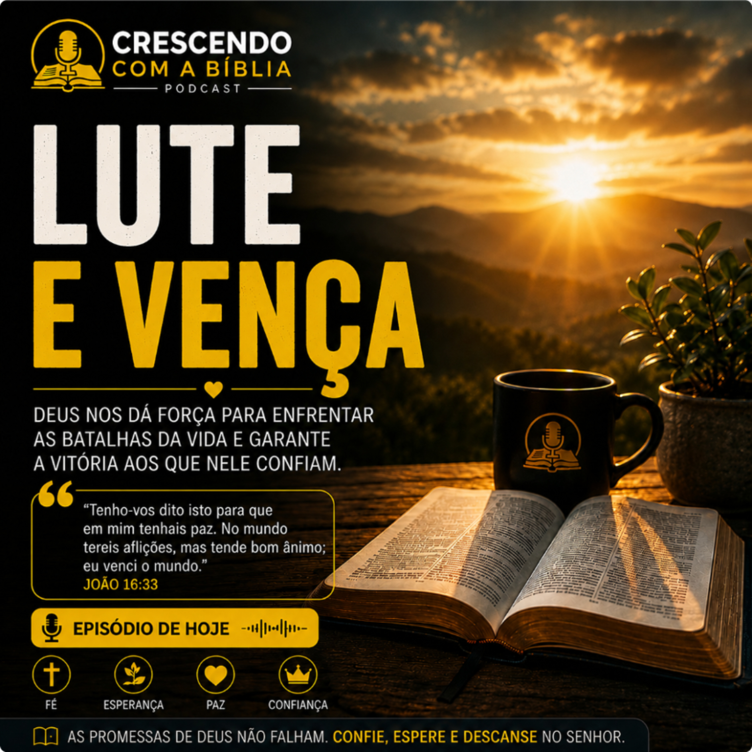 Lute e Vença episode artwork