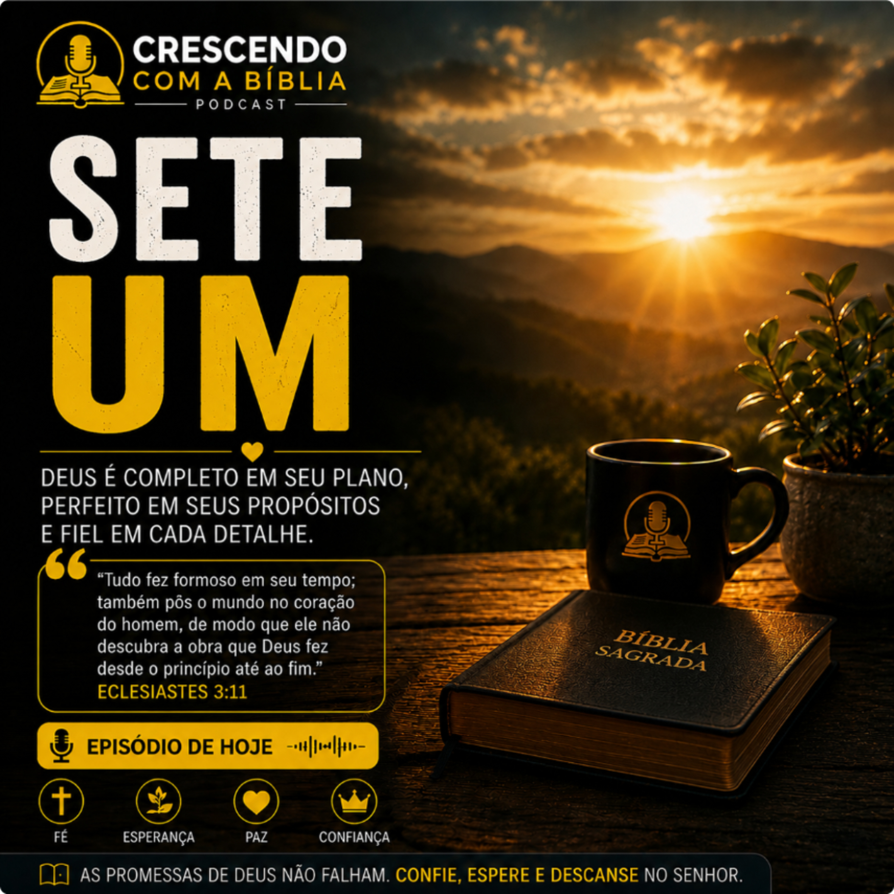 Sete Um episode artwork