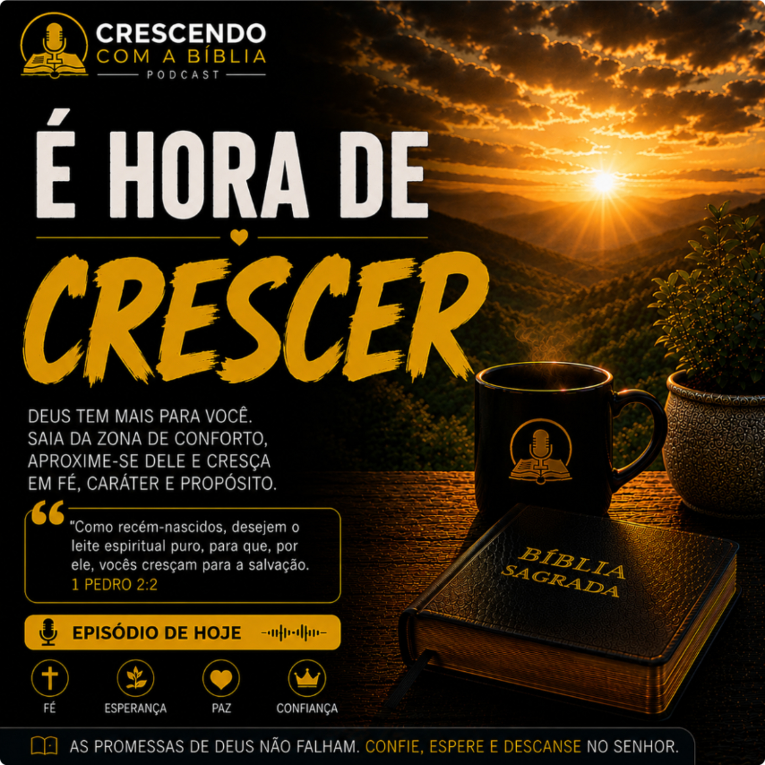 É Hora de Crescer episode artwork