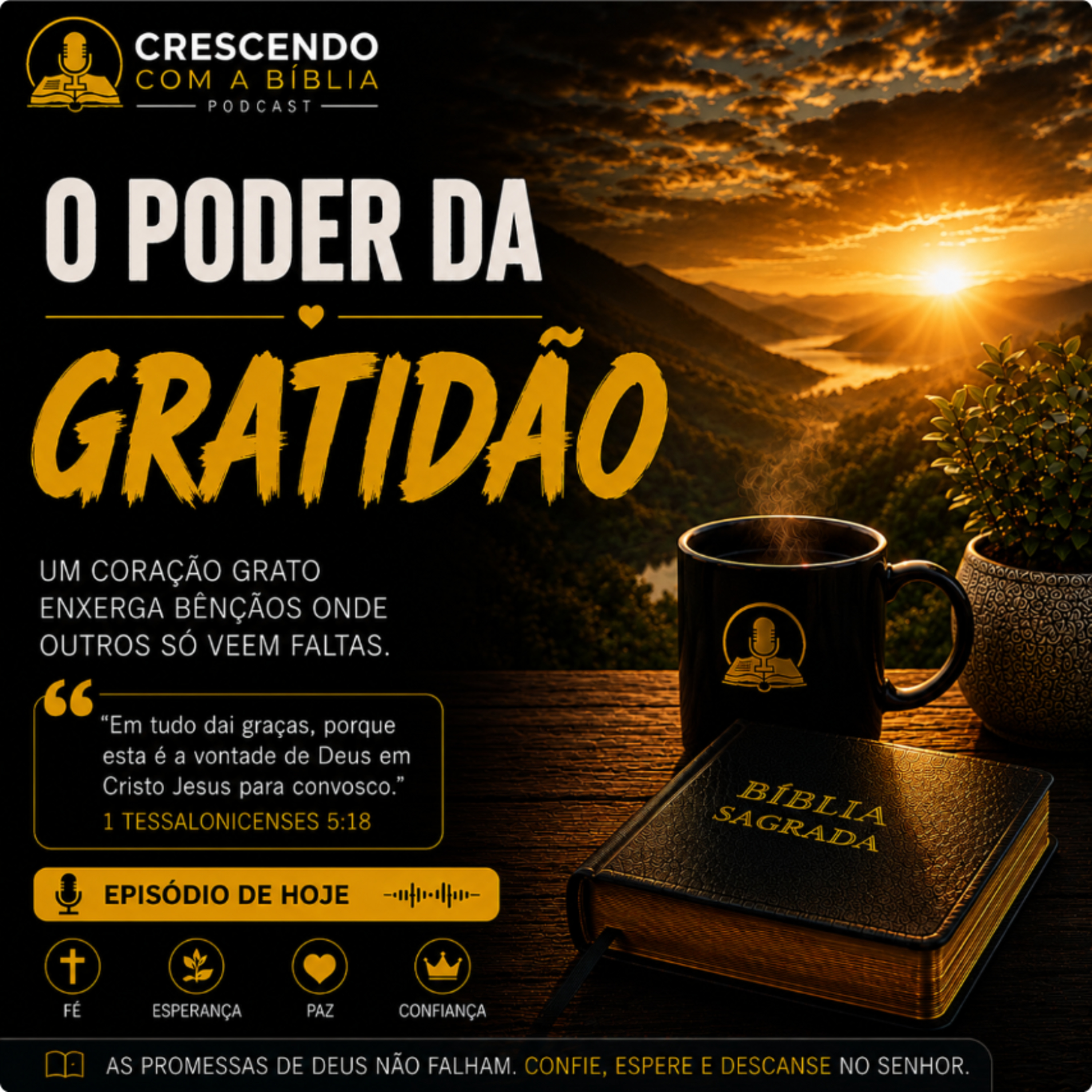 O Poder da Gratidão episode artwork