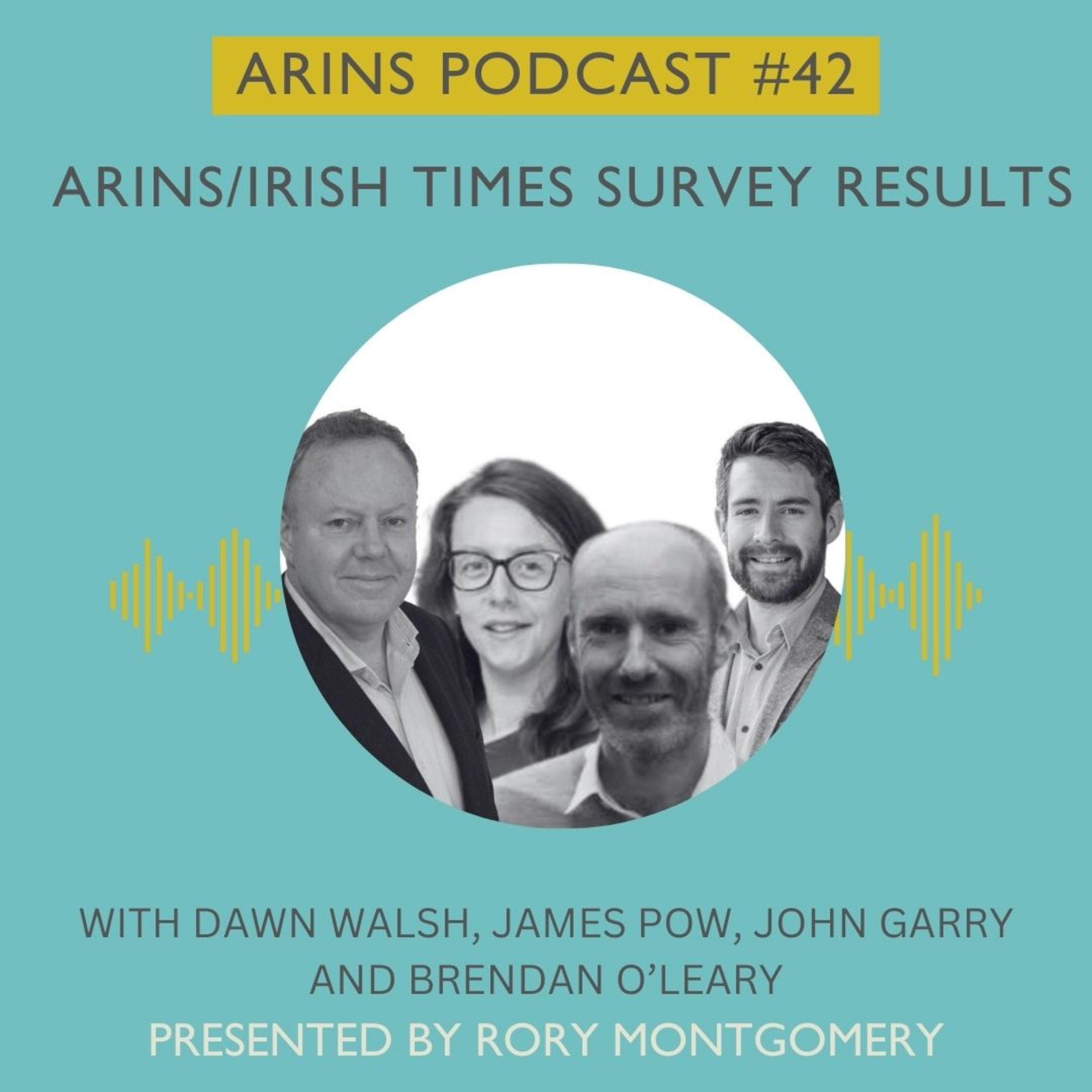 ARINS: Analysing and Researching Ireland North and South