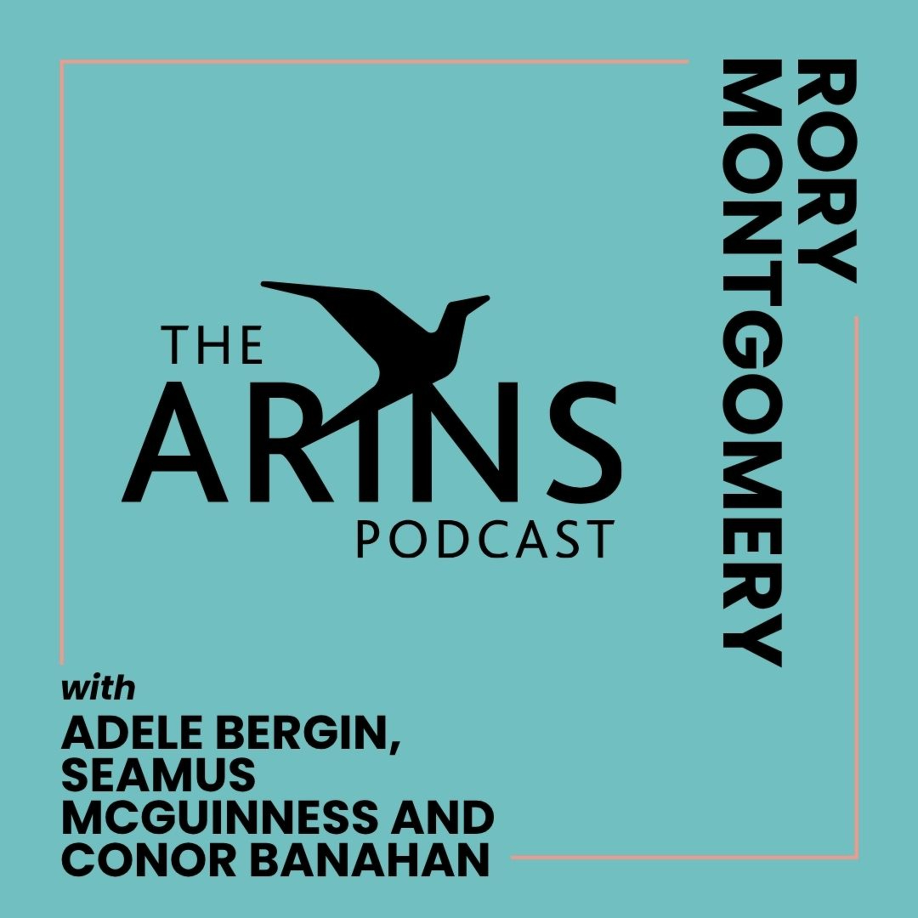 ARINS: Analysing and Researching Ireland North and South