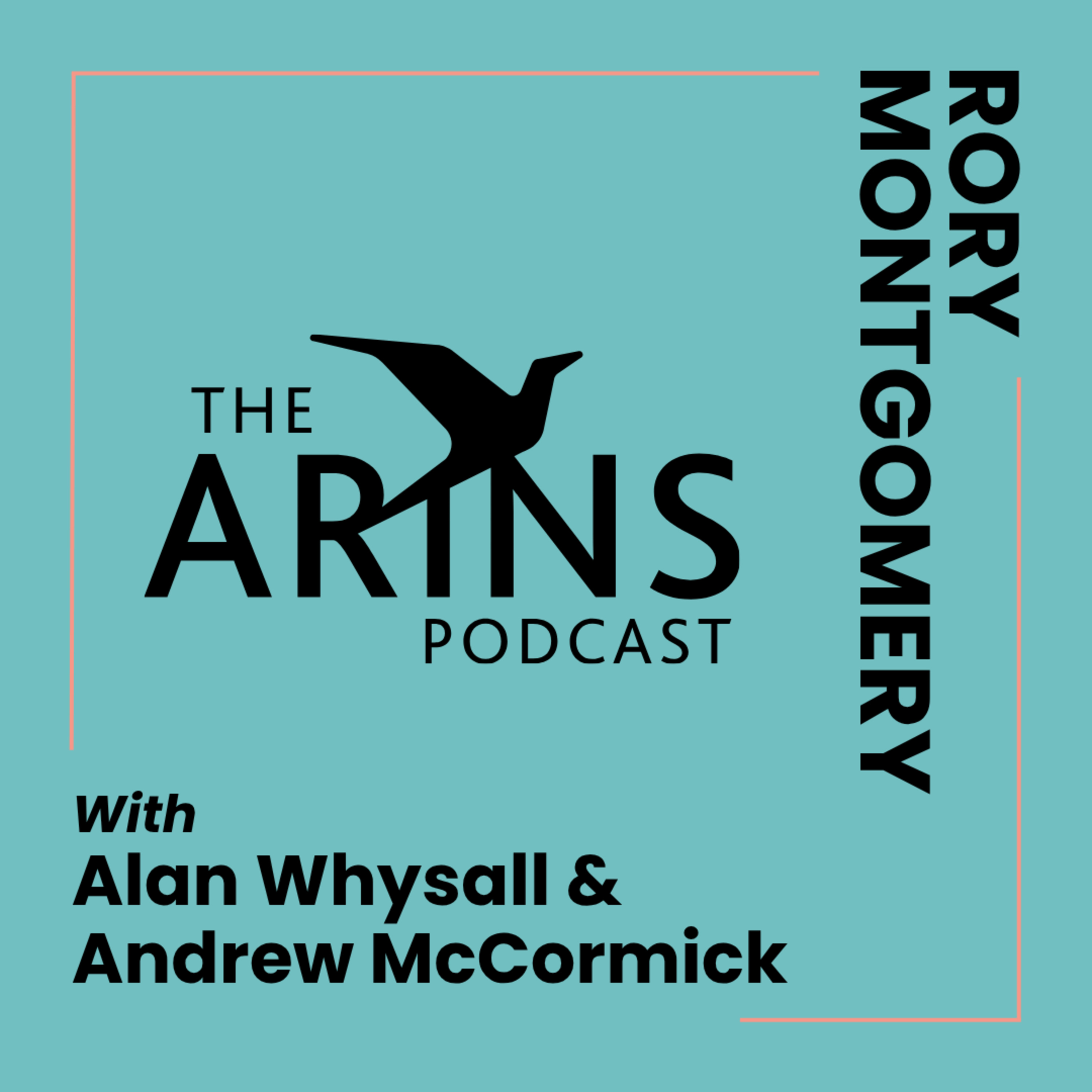 ARINS: Analysing and Researching Ireland North and South