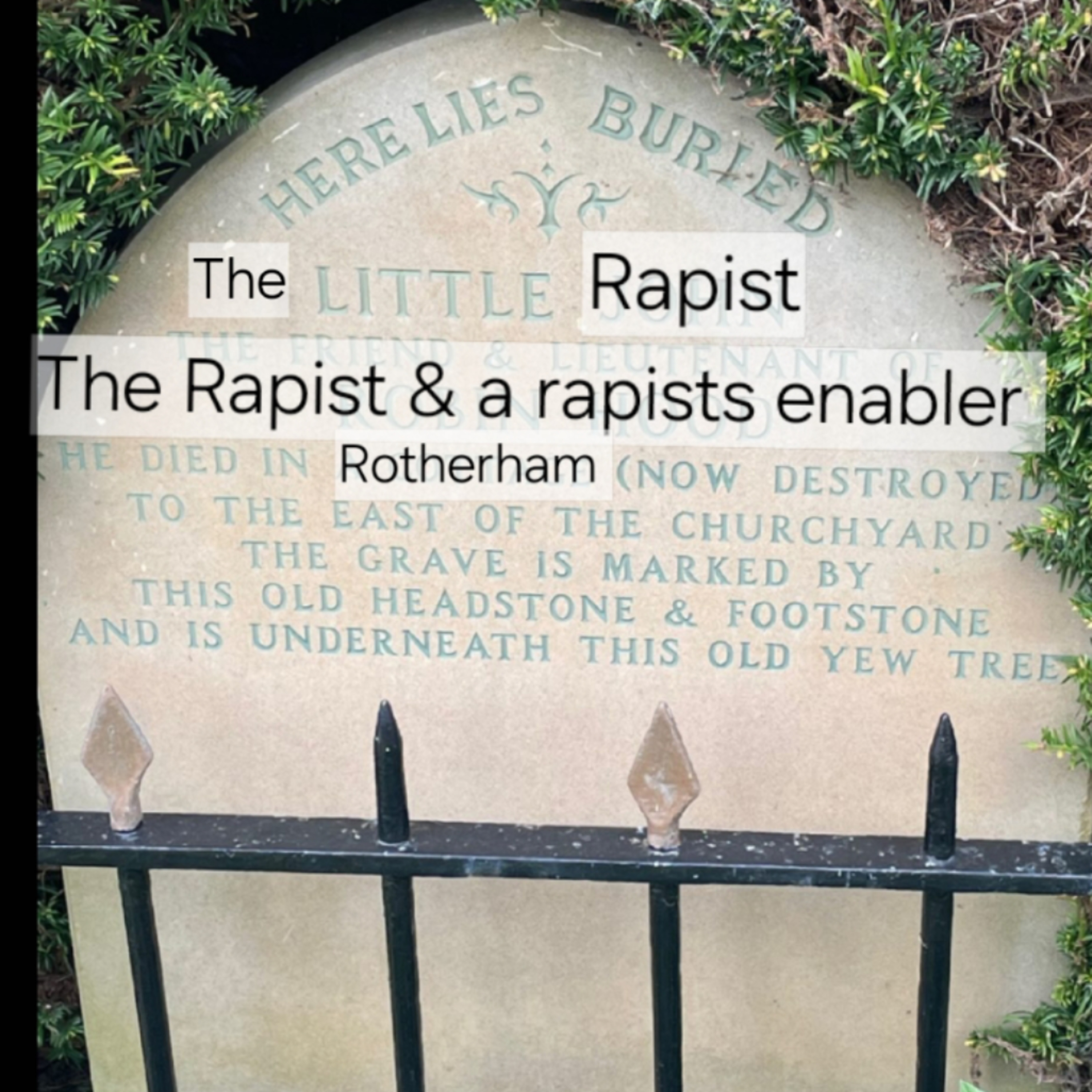 The two Rotherham rats who stalk their ex's together and their downfall. episode artwork
