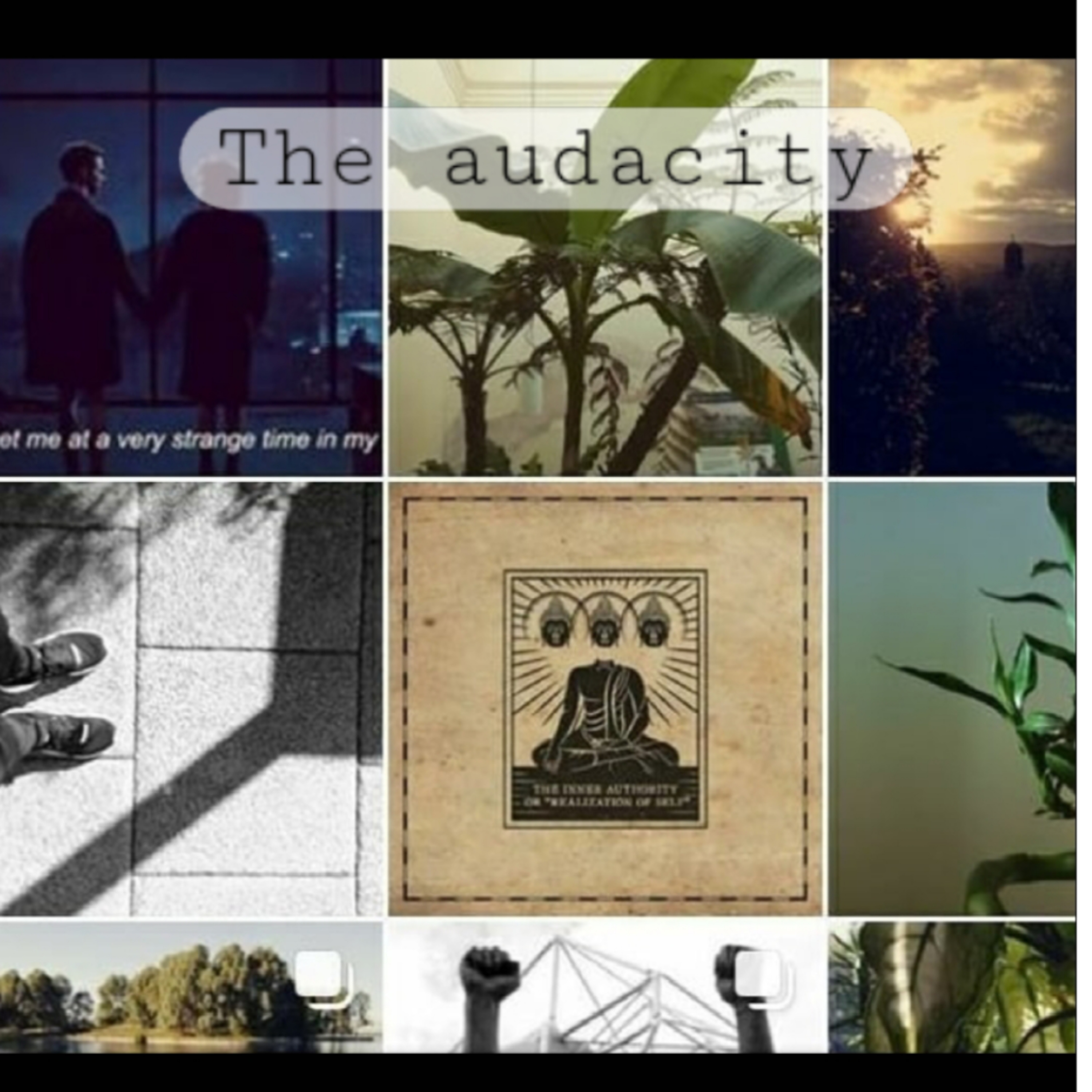 The audacity episode artwork
