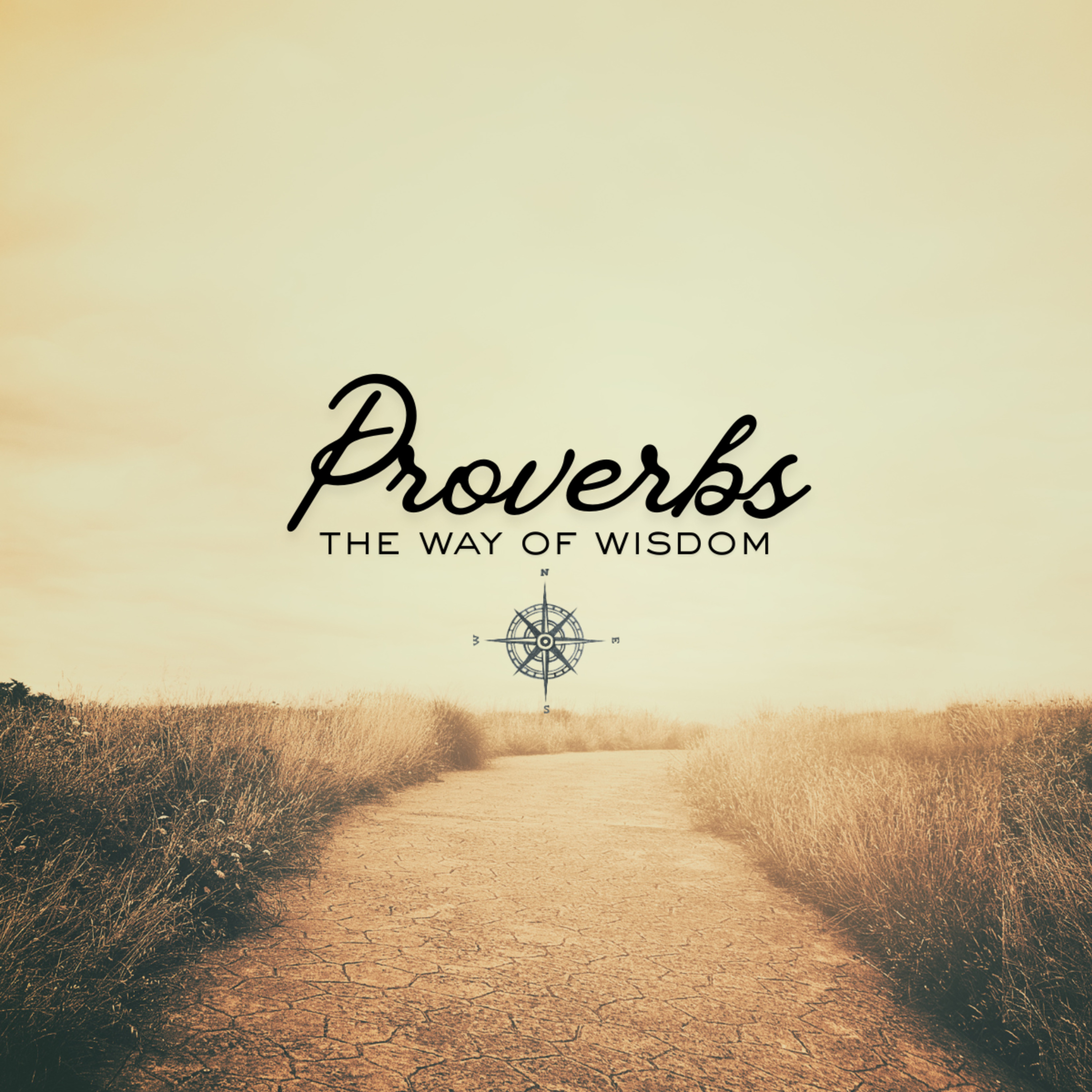 Acquiring Wisdom
