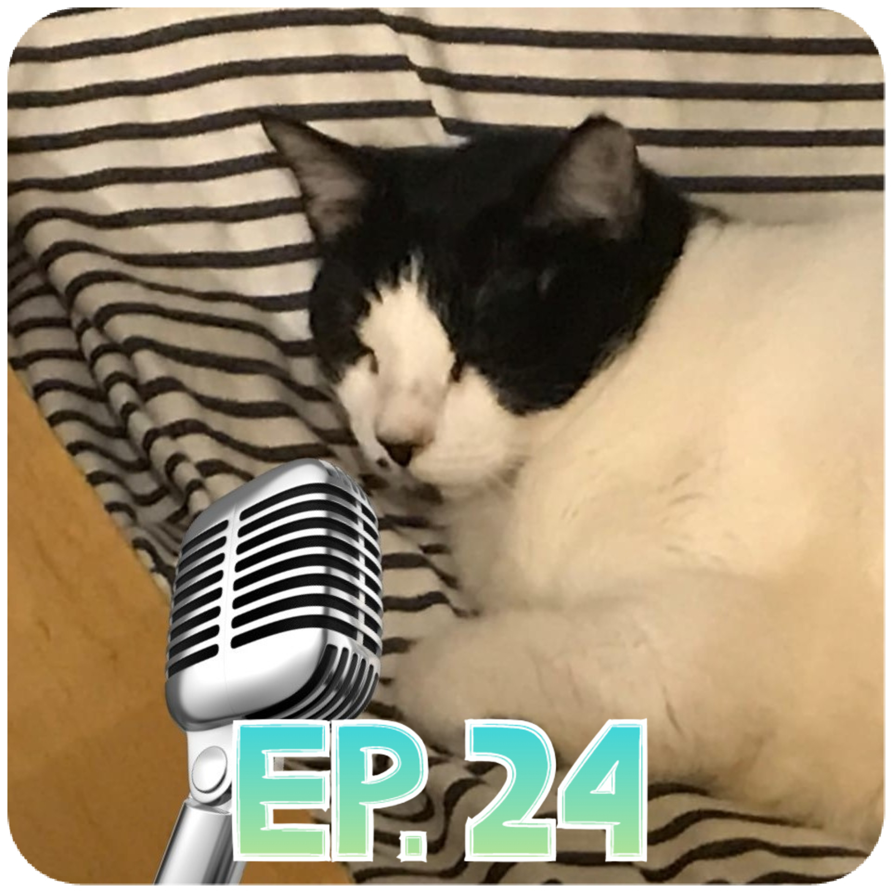 Babscast