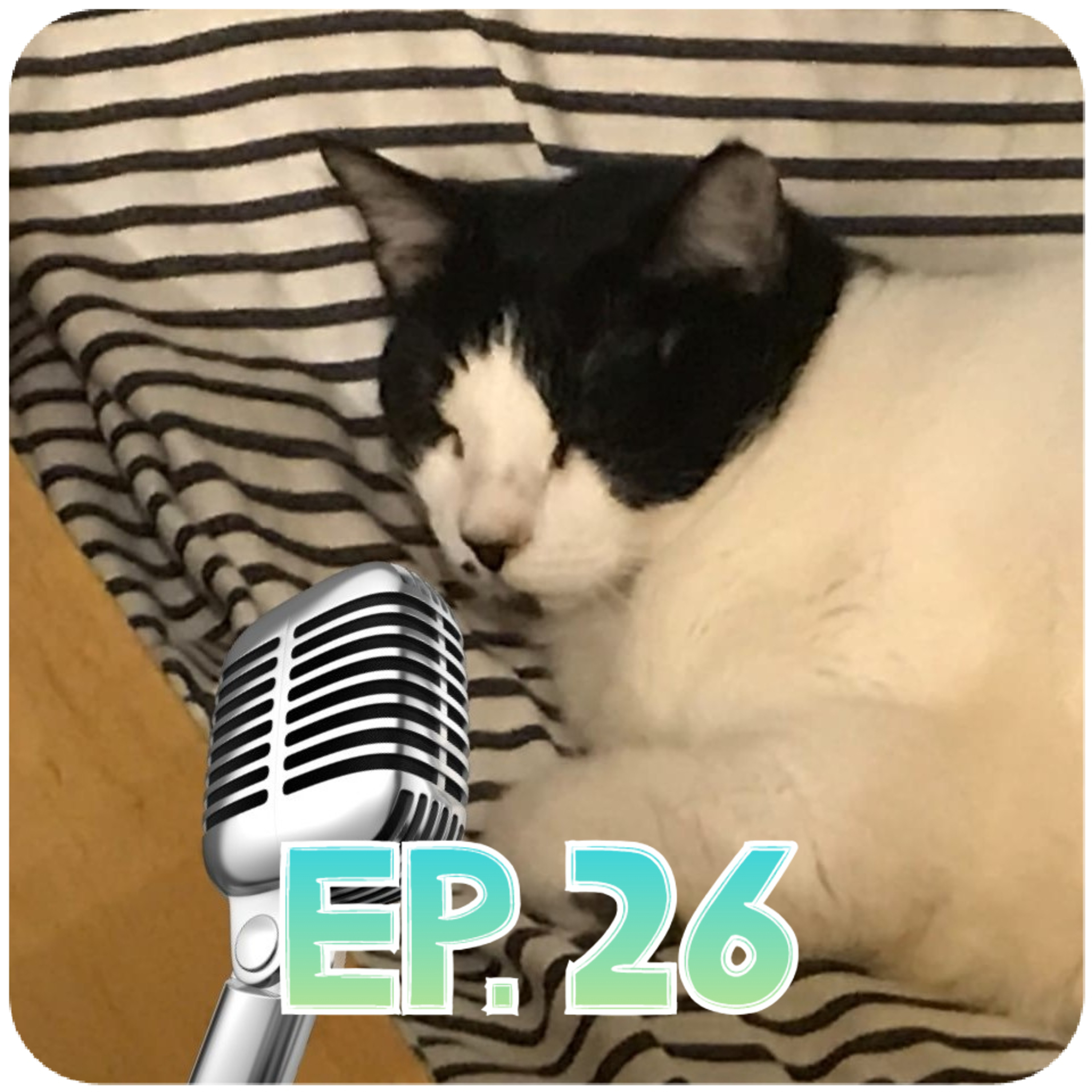 Babscast