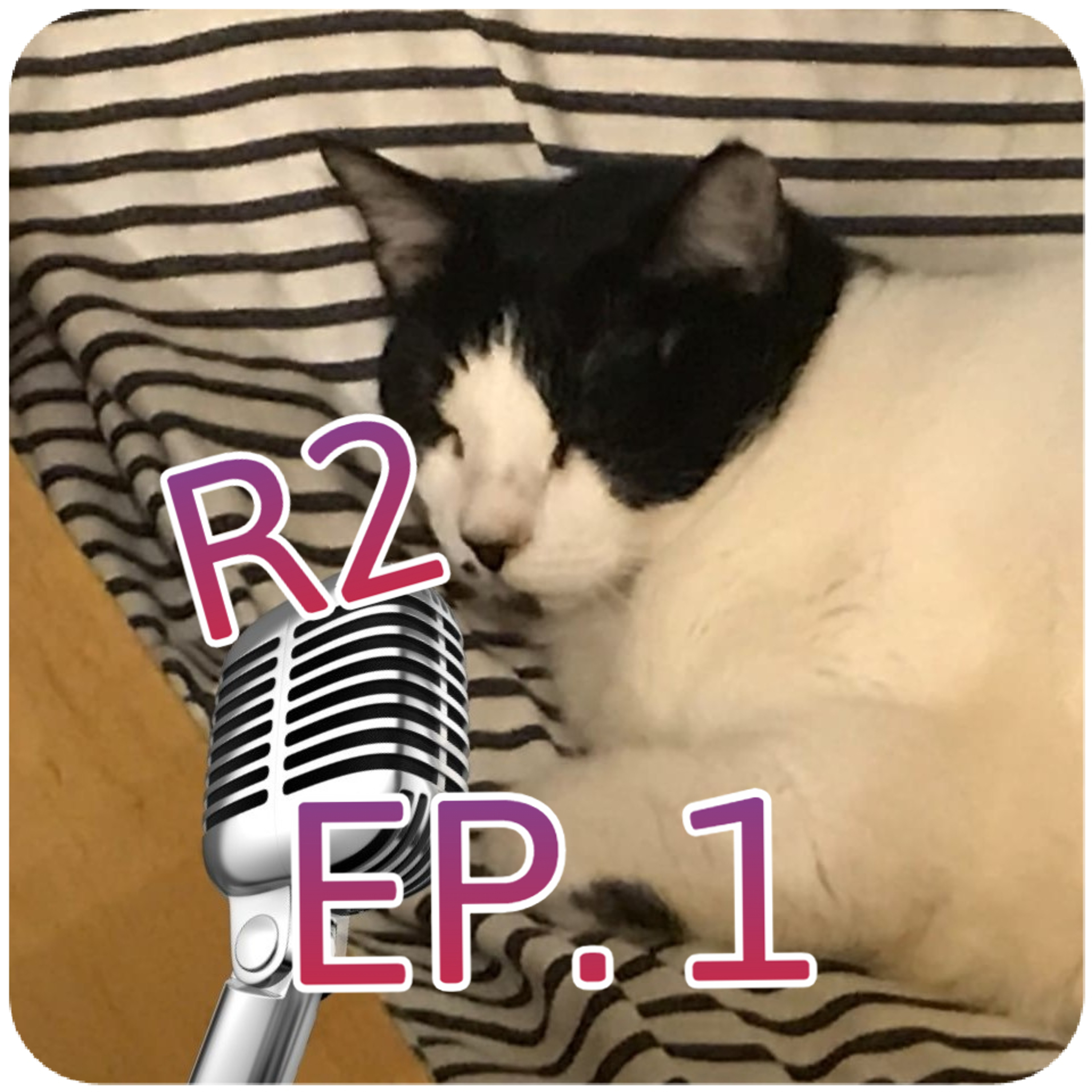 Babscast