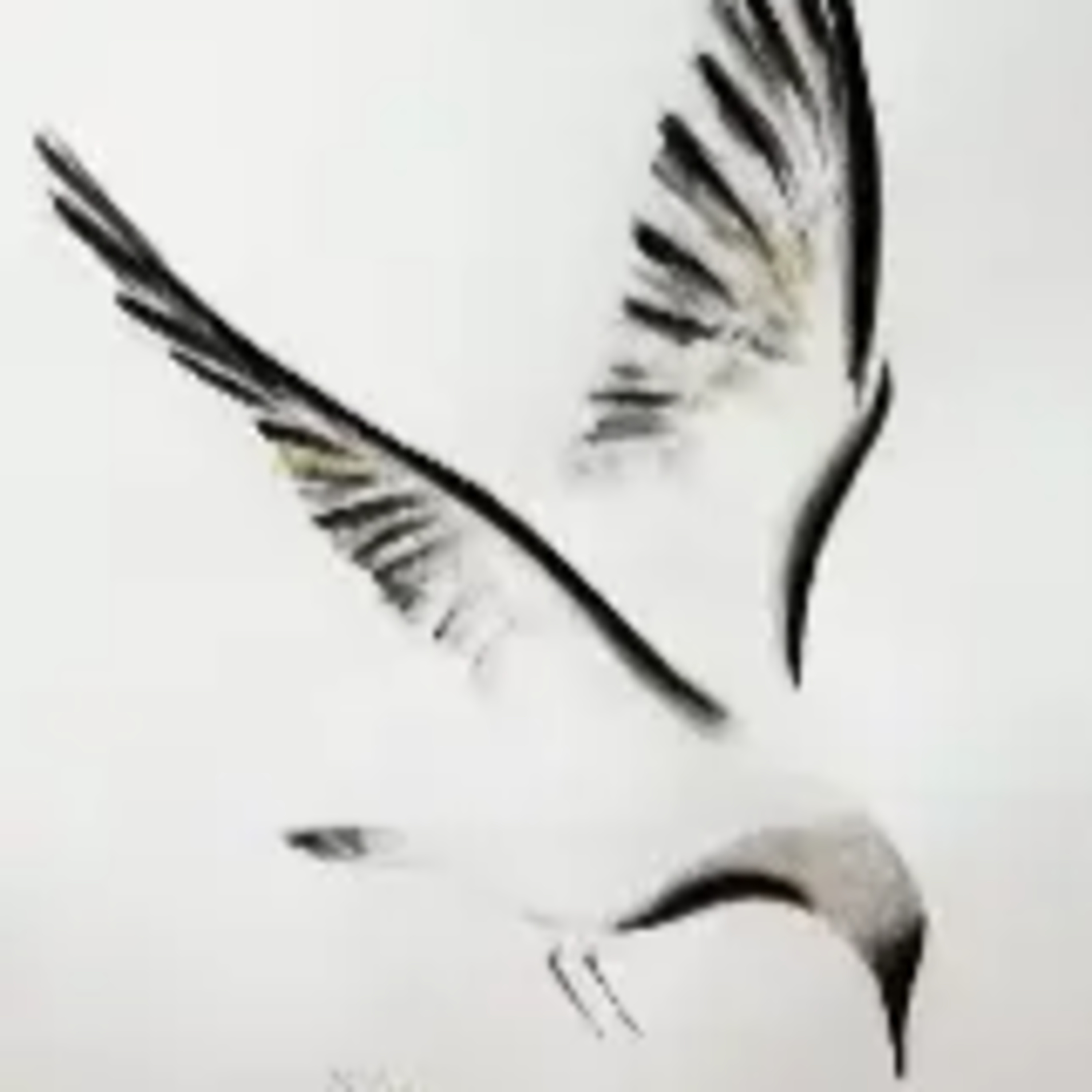 Radio Begijnenstraat