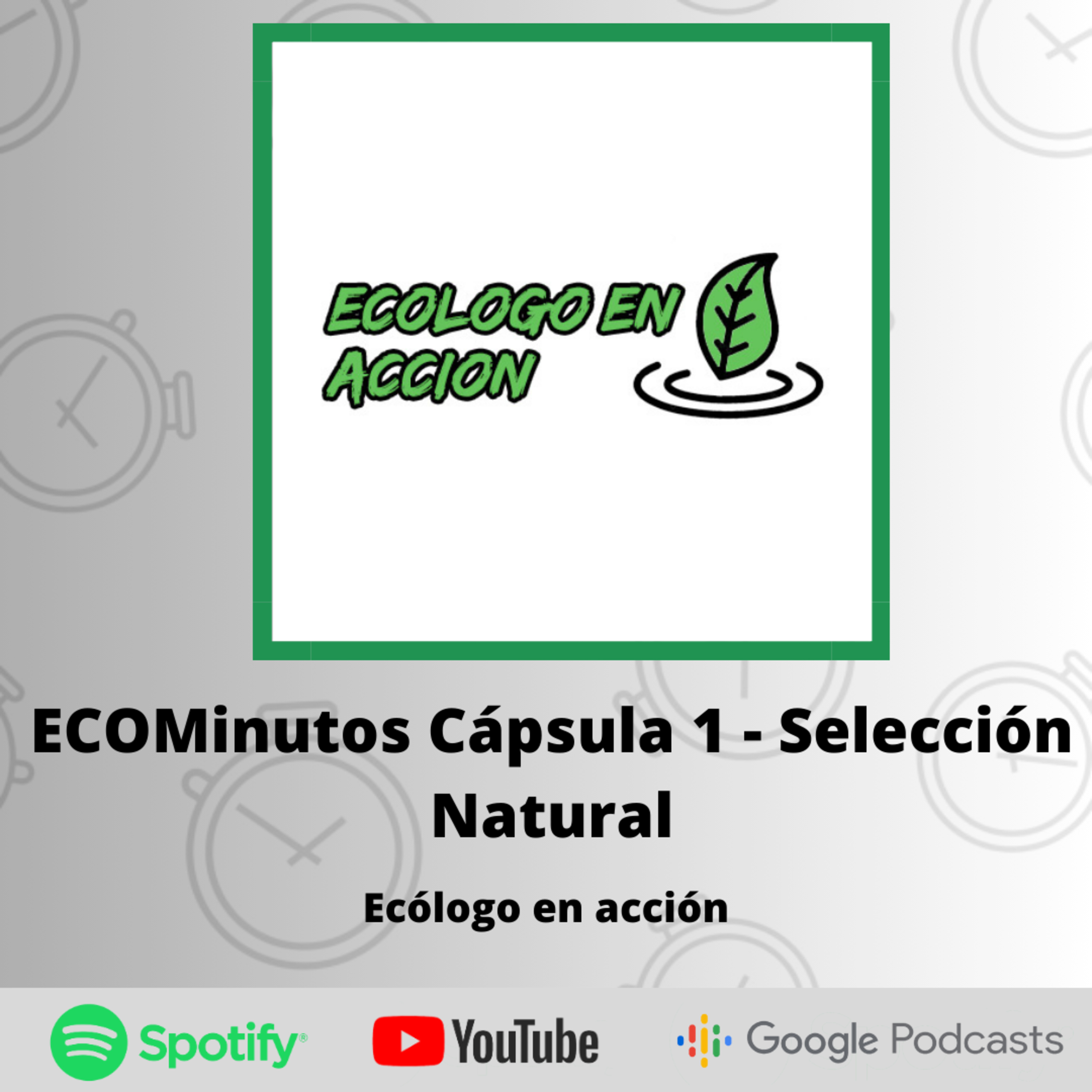 ECOMinutos Cápsula 1 - Selección Natural  episode artwork