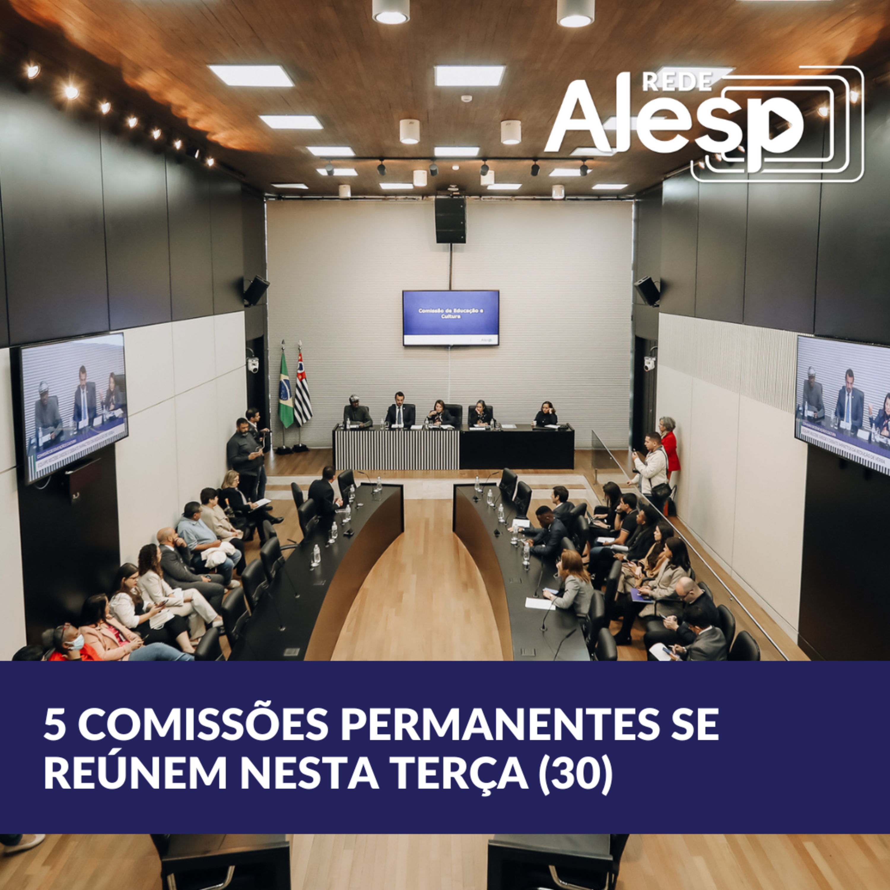 Cinco Comissões Permanentes da Alesp se reúnem nesta terça (30) episode artwork
