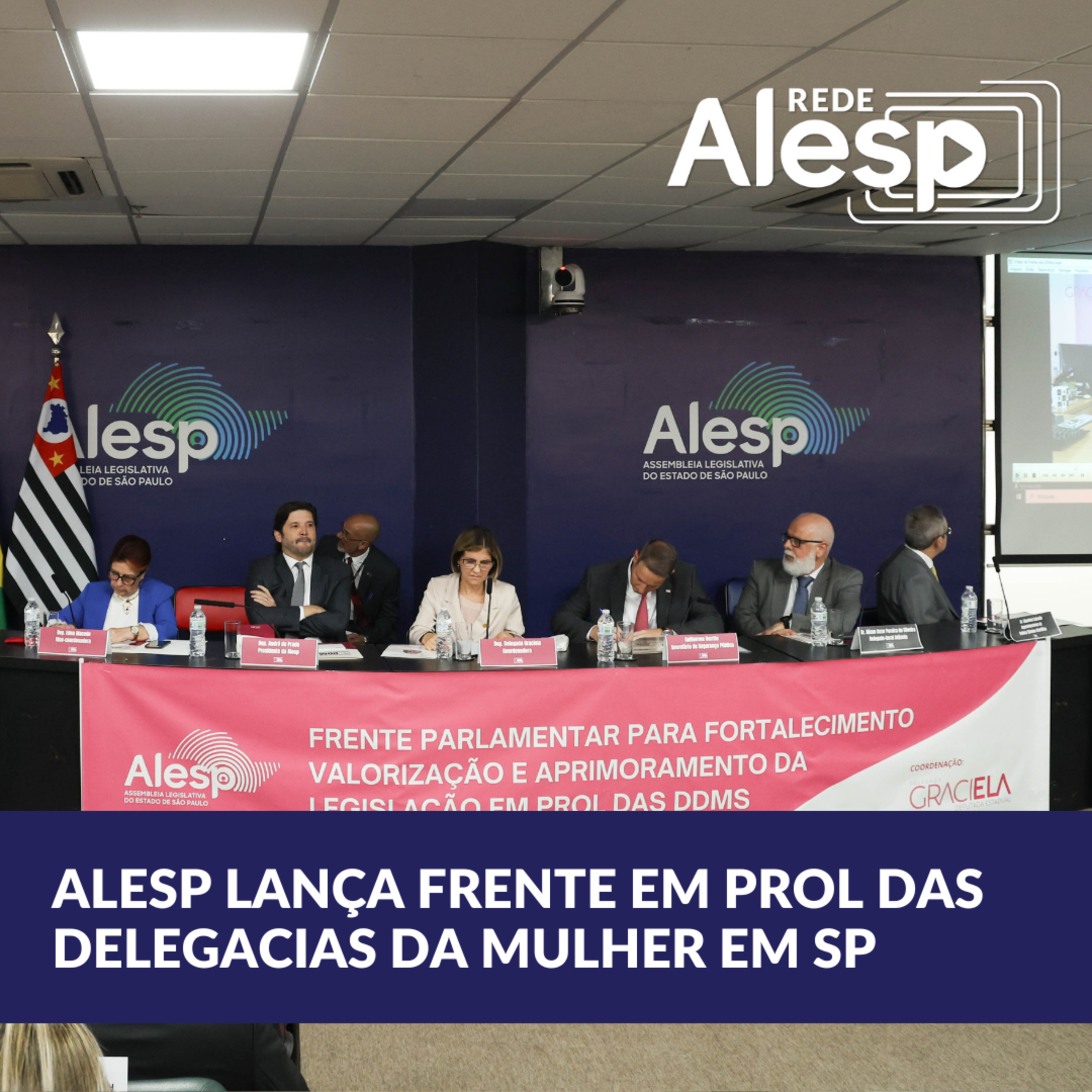 Alesp lança Frente em prol das delegacias da Mulher em SP episode artwork