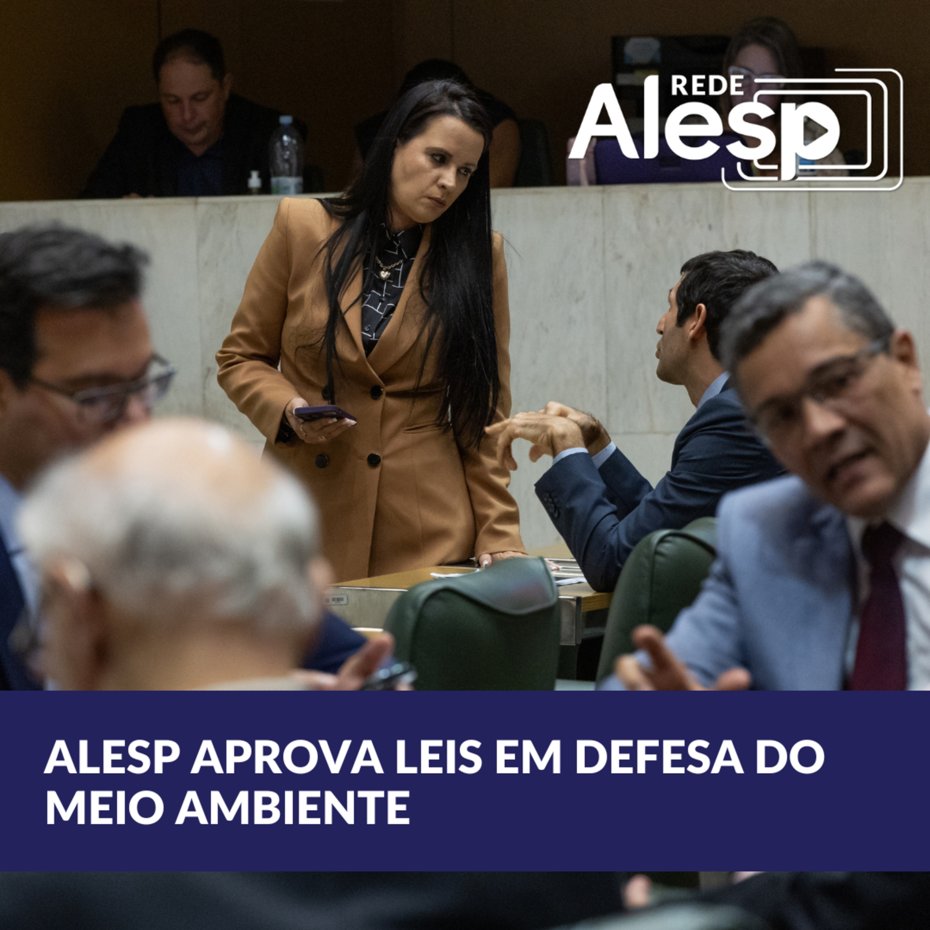 Alesp aprovou, em 2023, projetos que promovem sustentabilidade e preservação ambiental episode artwork