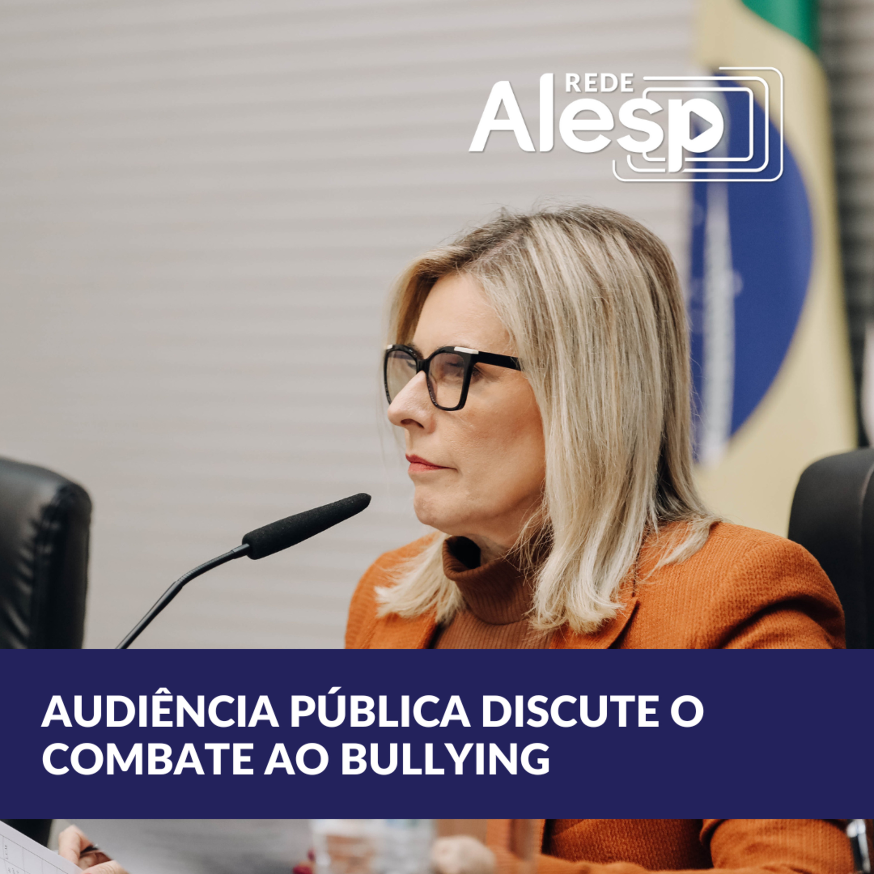 Caso Carlinhos: audiência pública discute o combate ao bullying nas escolas episode artwork