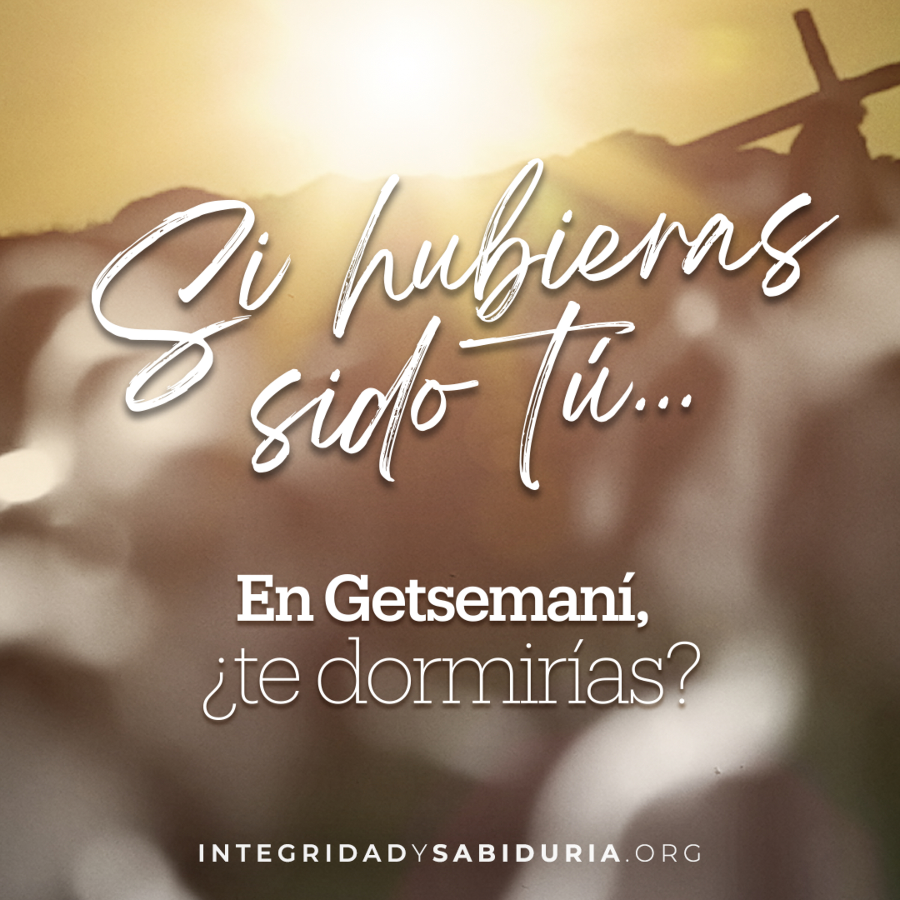 Día 2 - Devocional | Si hubieras sido tú... En Getsemaní, ¿te dormirías?