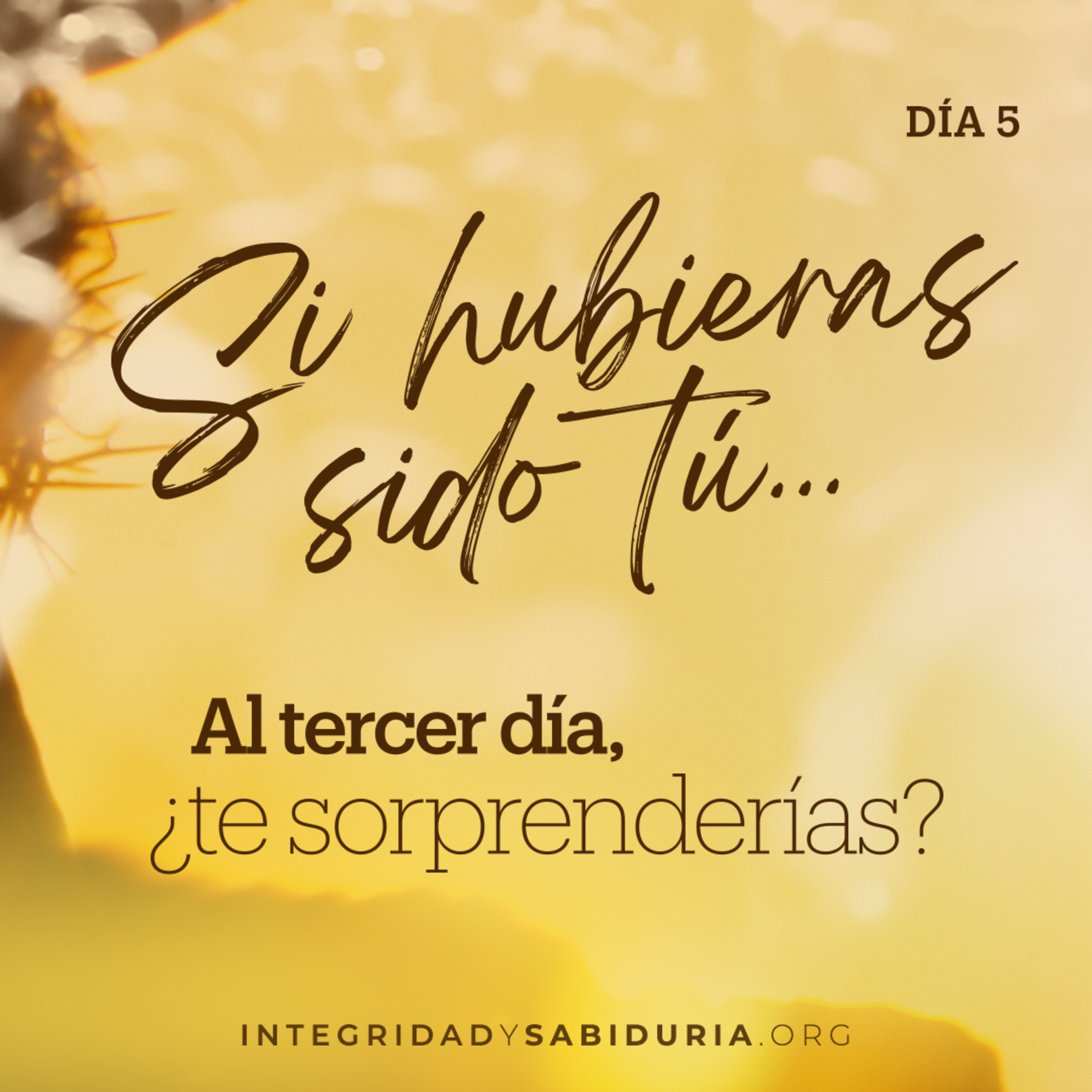Día 5 - Devocional | Si hubieras sido tú... Al tercer día, ¿te sorprenderías?