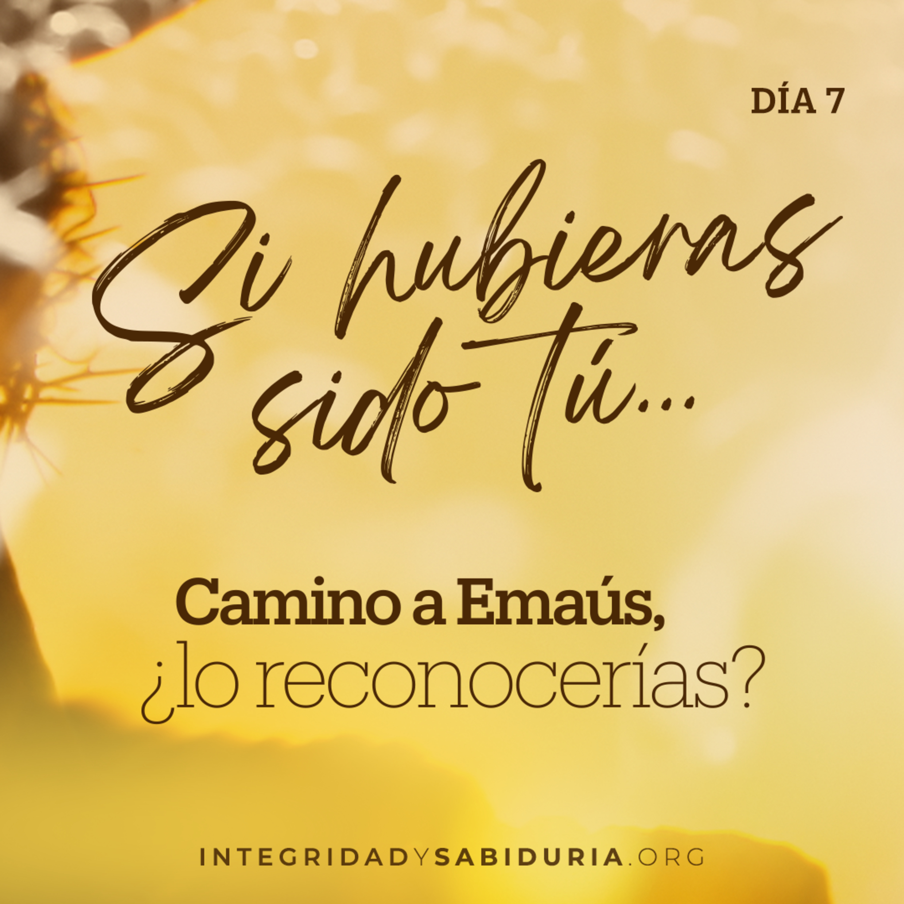 Día 7 - Devocional | Si hubieras sido tú... Camino a Emaús, ¿lo reconocerías?