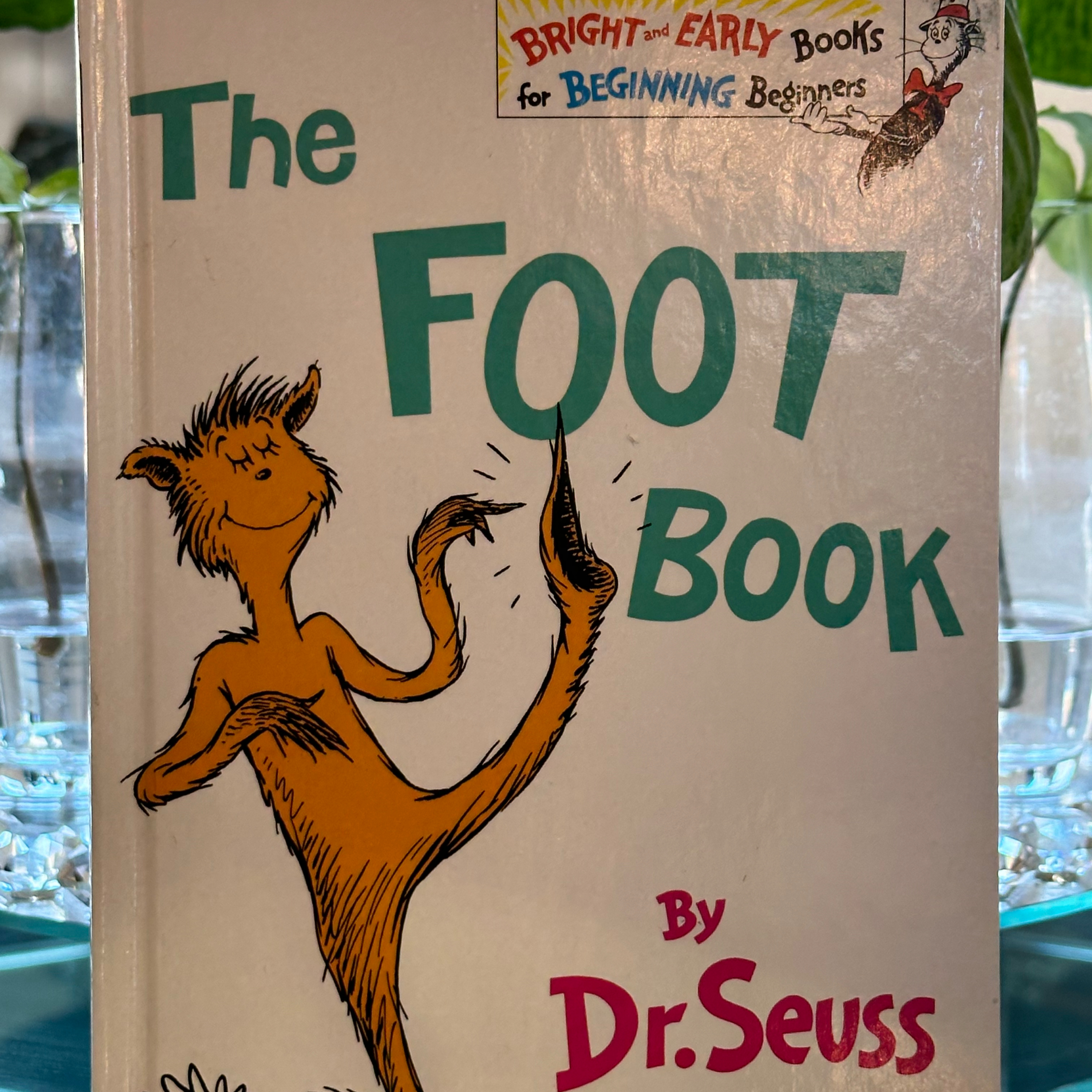 The Foot Book by Dr.Seuss