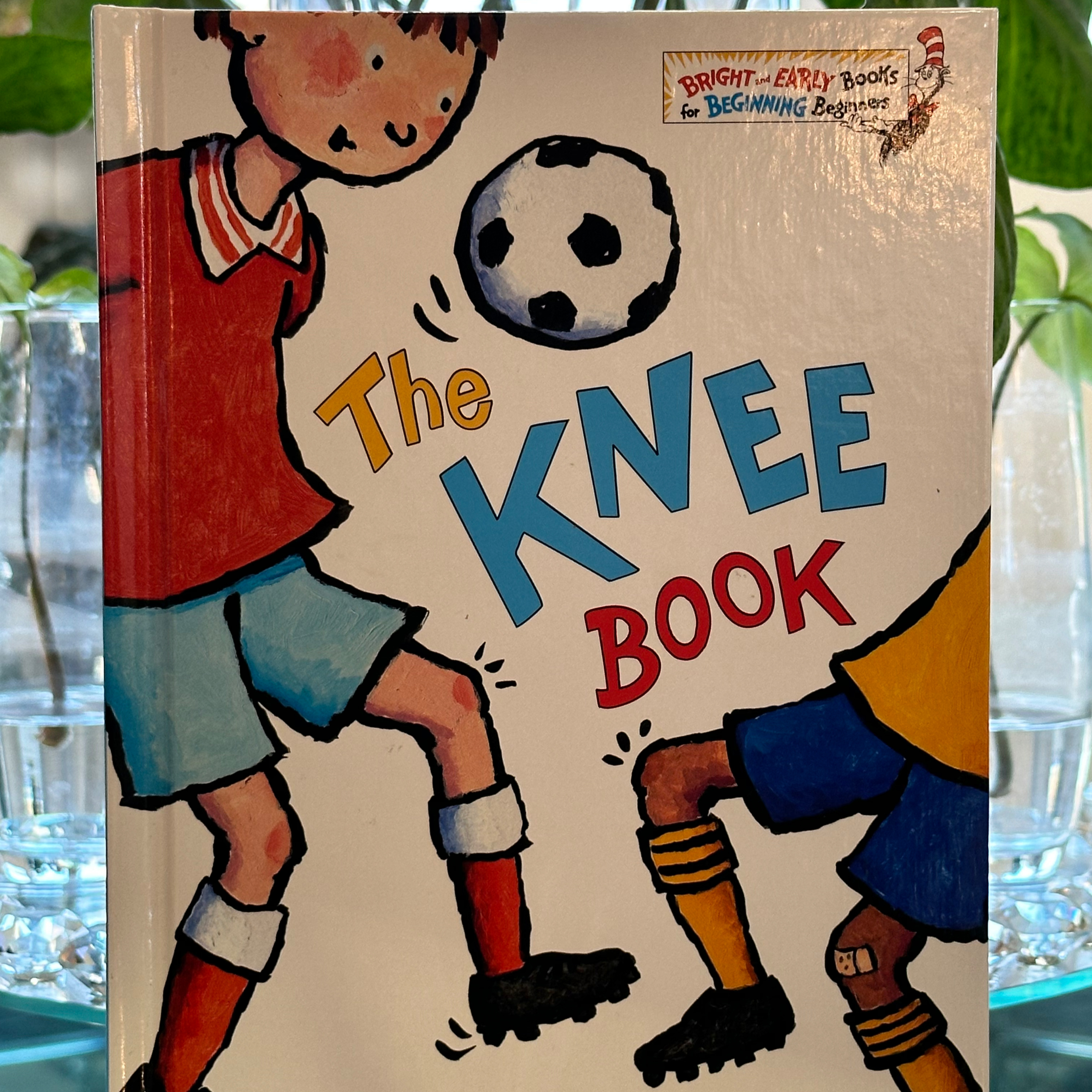 The Knee Book by Graham Tether illustrated by Sylvie Wickstrom