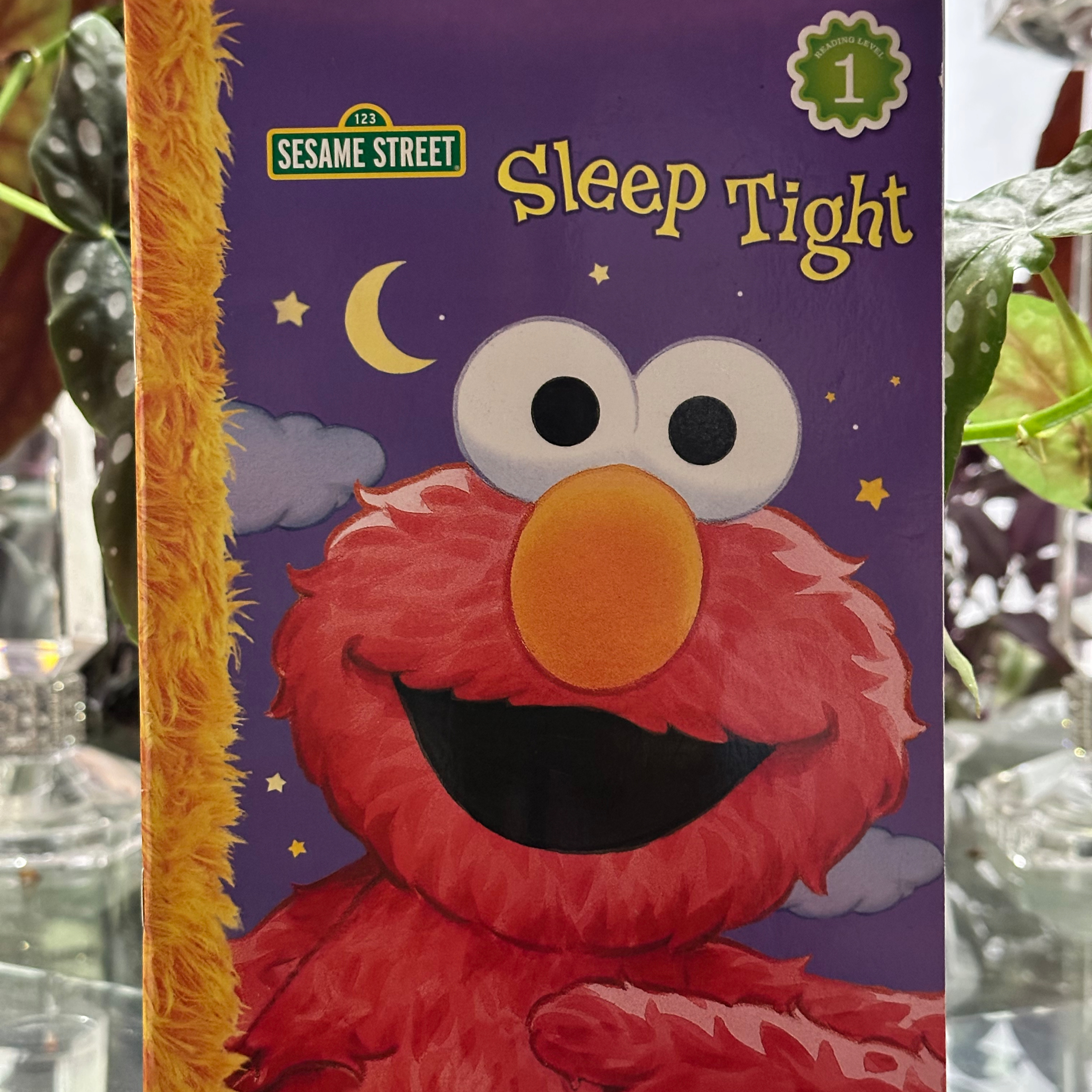 Sleep Tight by Constance Allen illustrated by David Prebenna