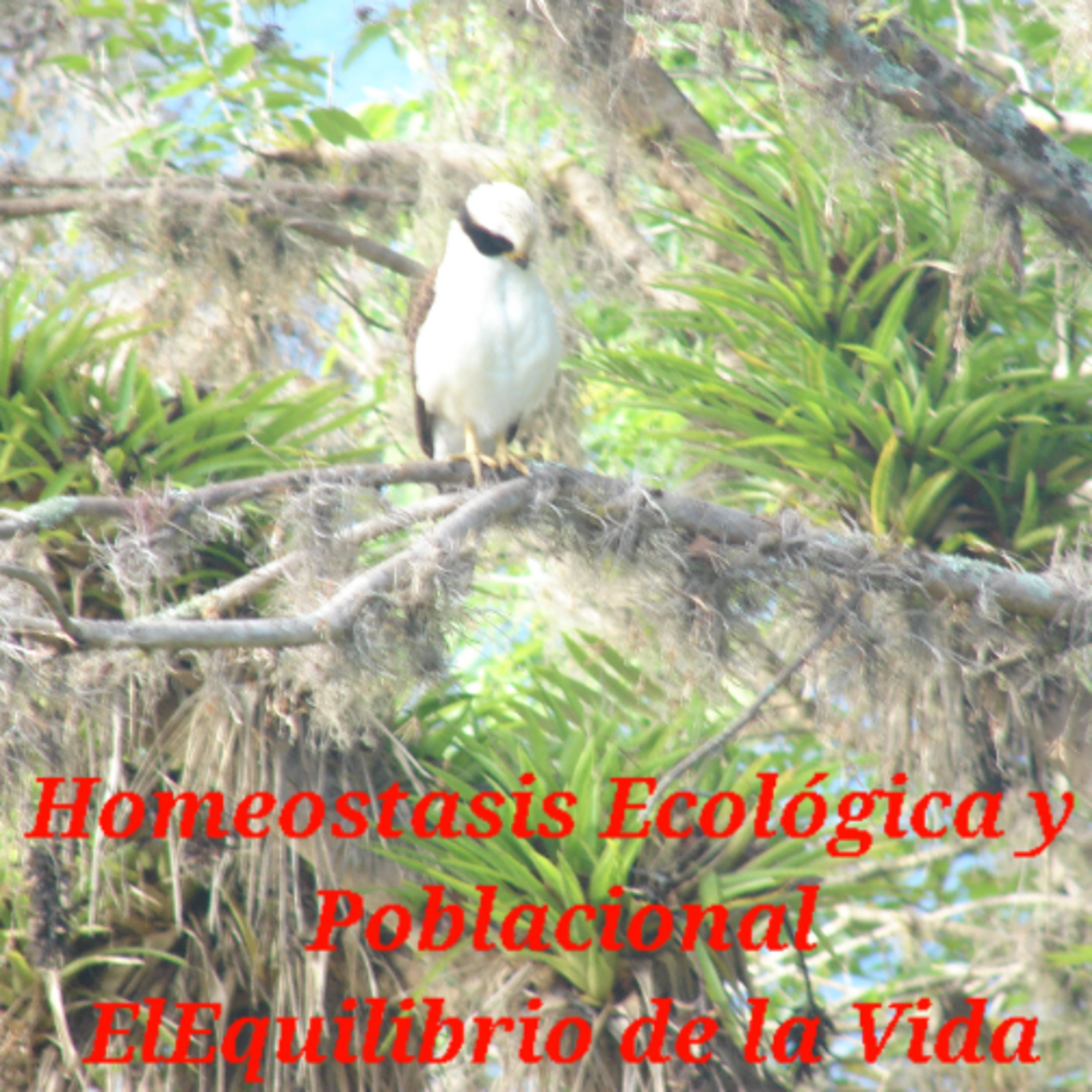 Homeostasis Ecológica y Poblacional: El Equilibrio de la Vida episode artwork